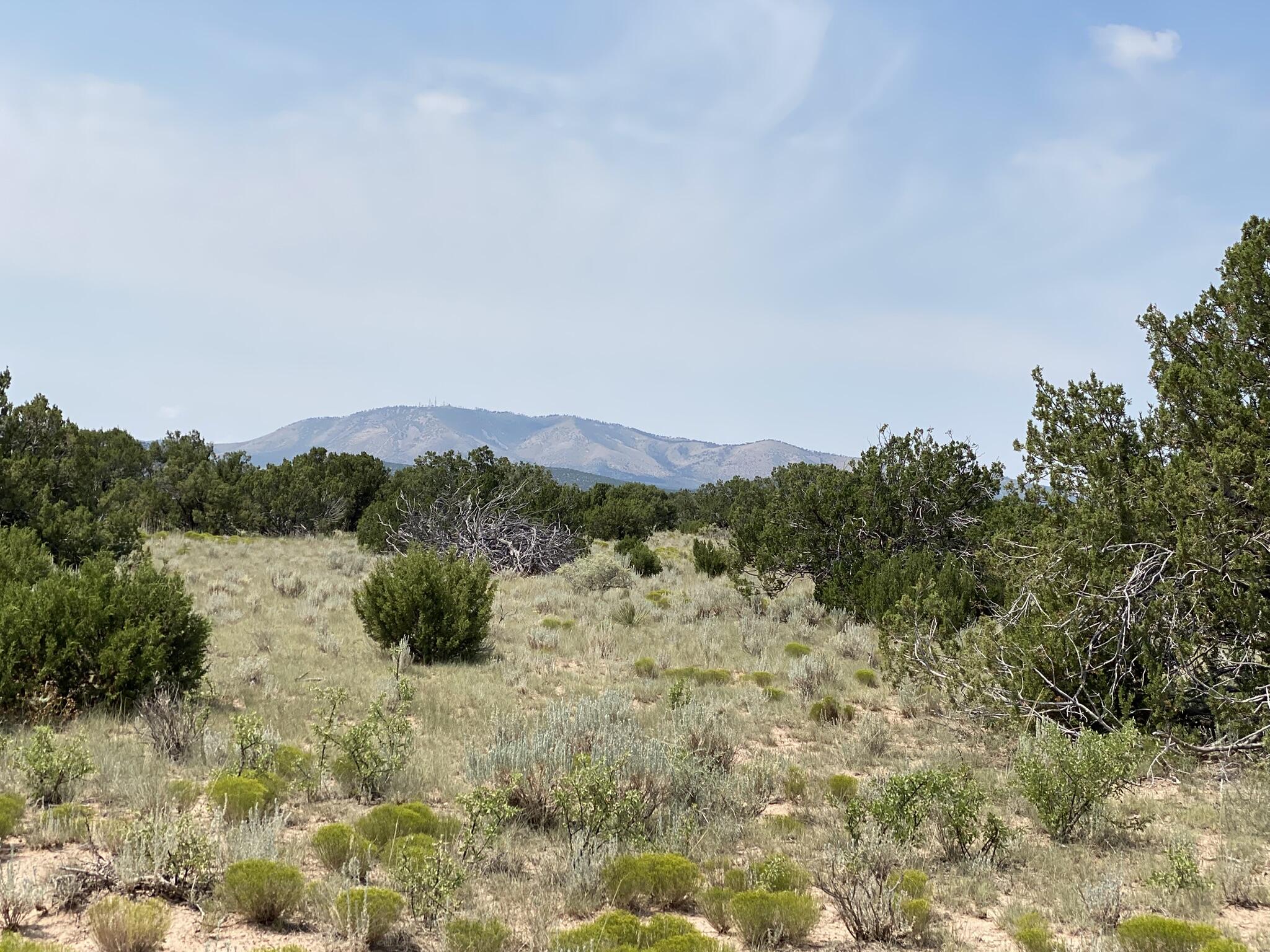 Photo 3 —  Elk Rd Tract 7 Road