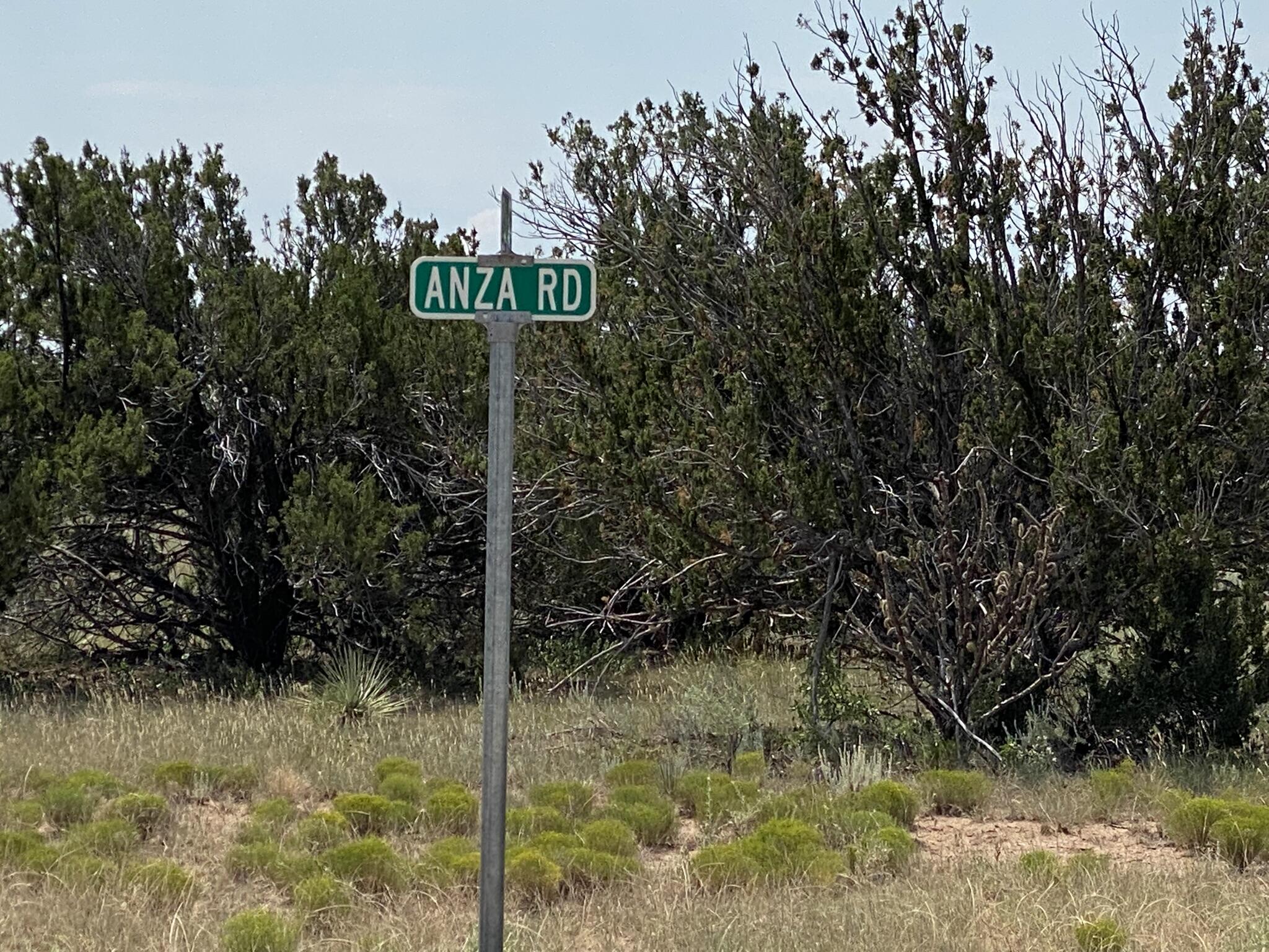 Photo 4 —  Elk Rd Tract 7 Road