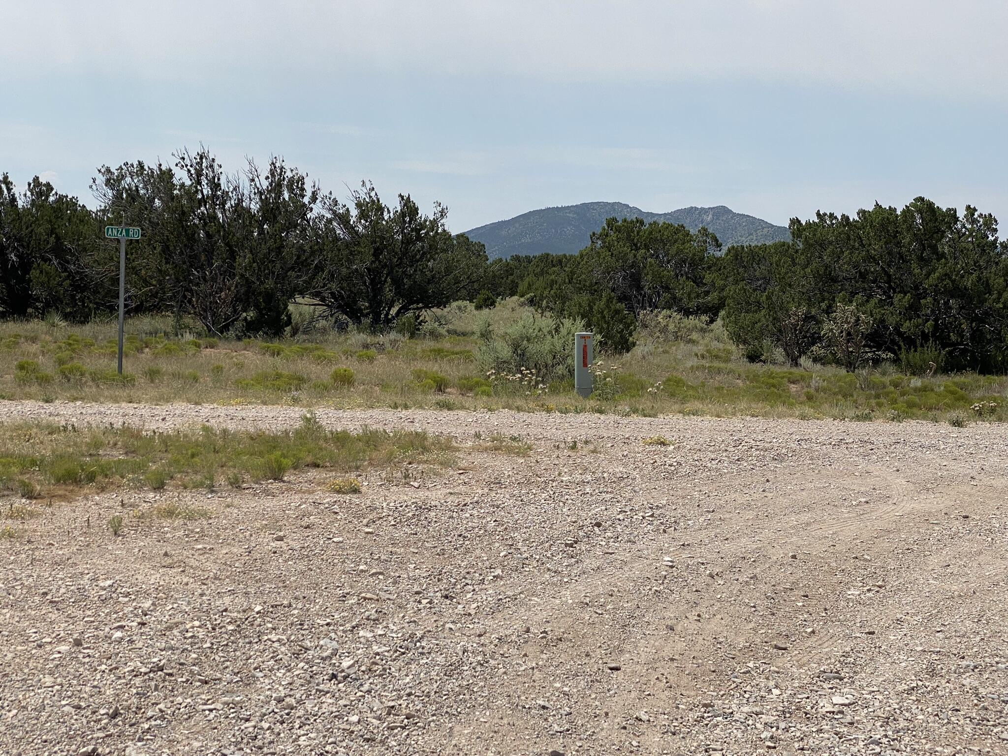 Photo 5 —  Elk Rd Tract 7 Road