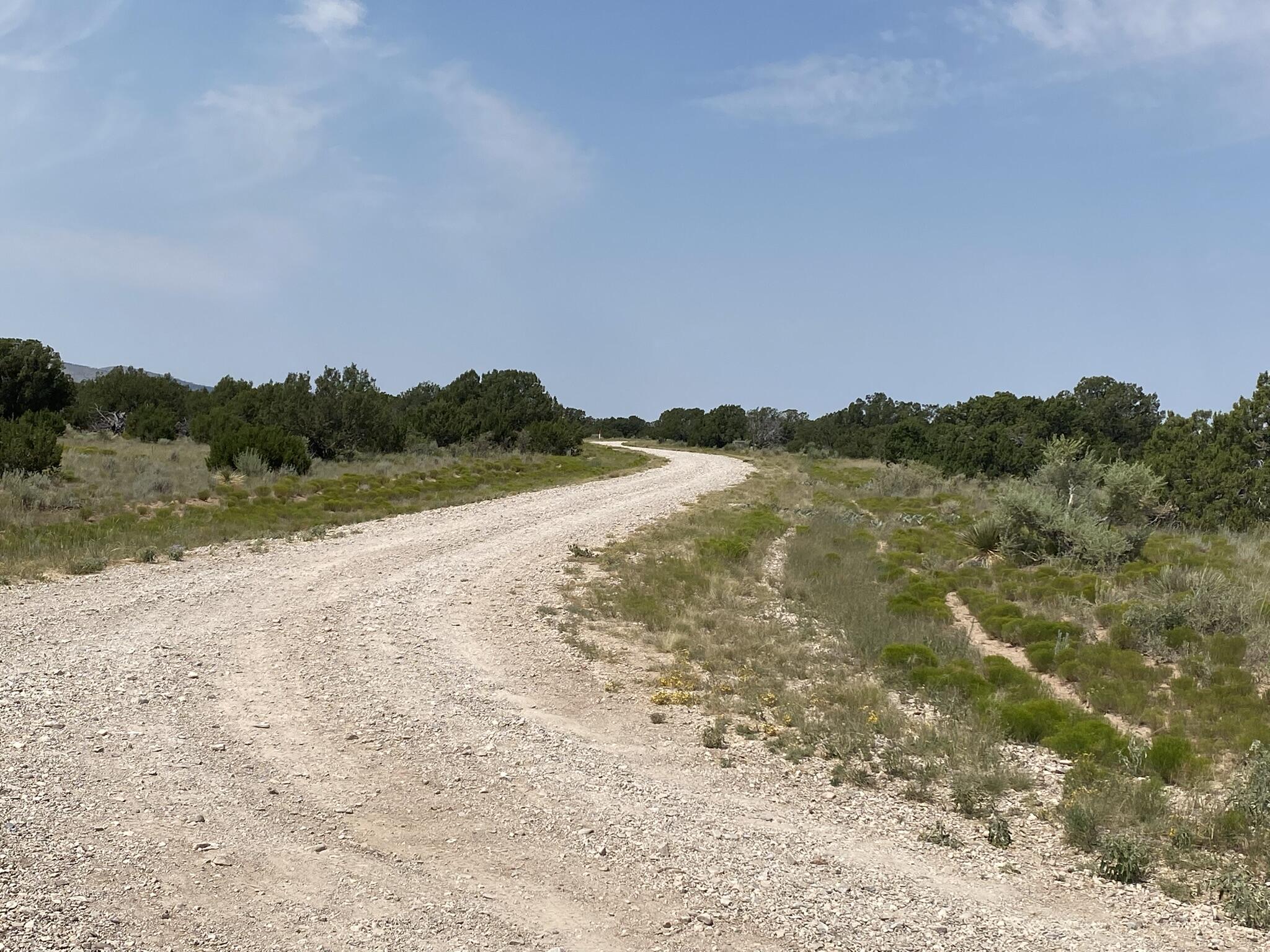 Photo 6 —  Elk Rd Tract 7 Road