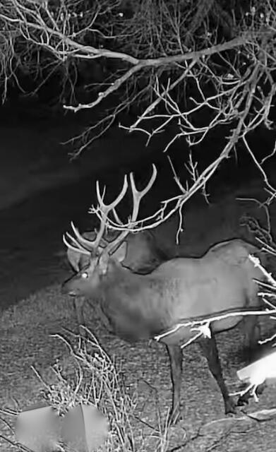 Photo 17 — 24 LEE Road