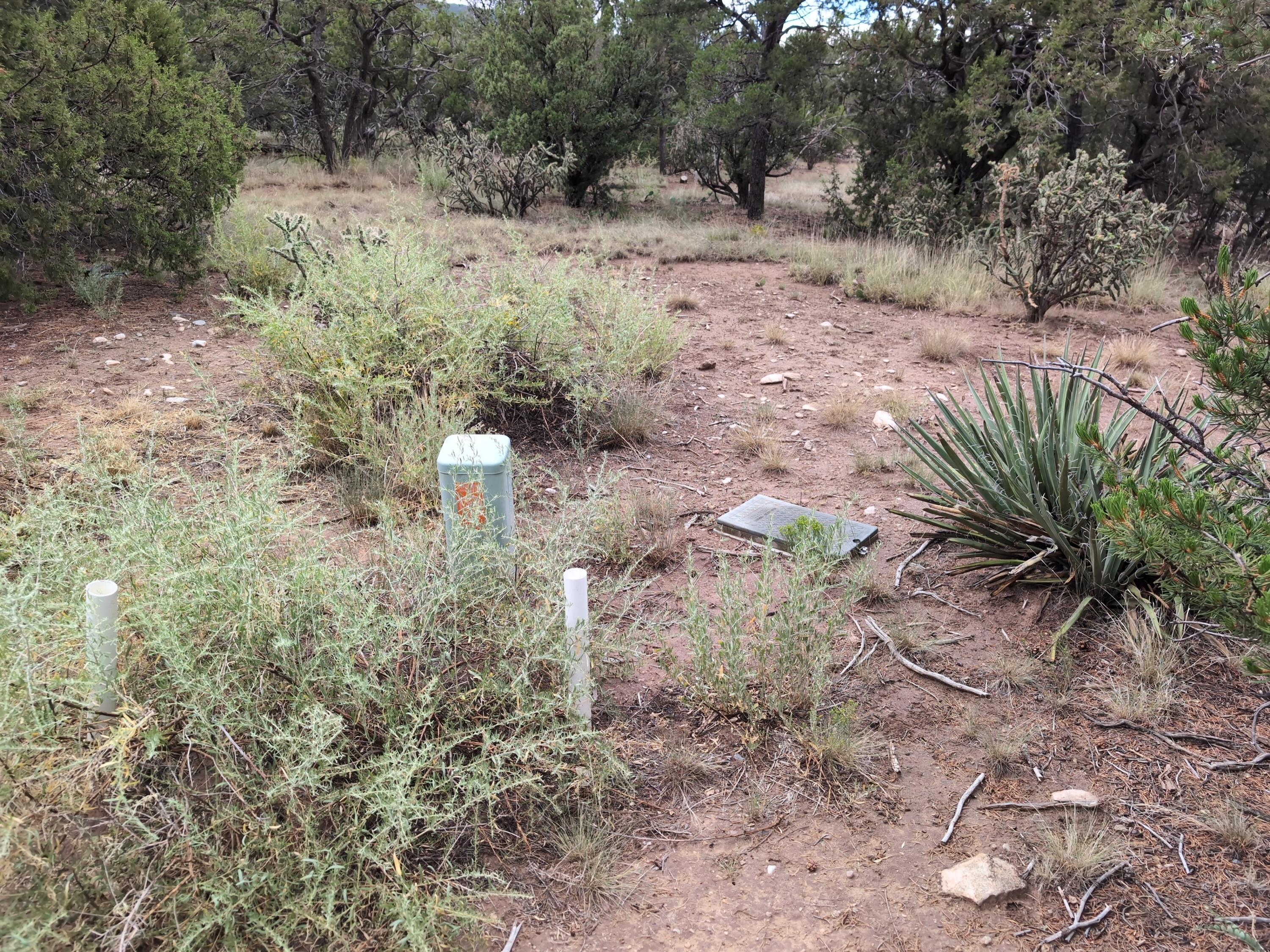 Photo 4 — 11 Pinon Grande