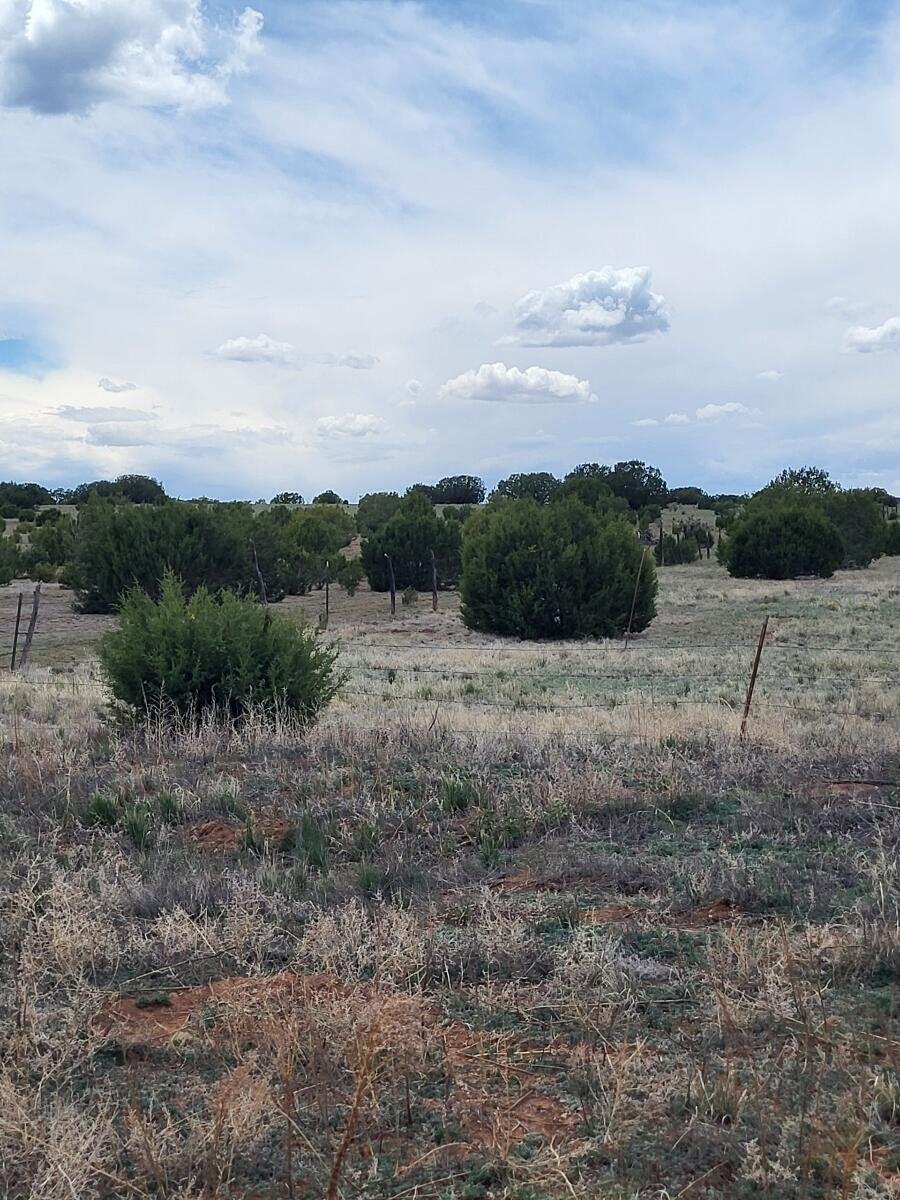  Bullion Road, Moriarty, NM 87035