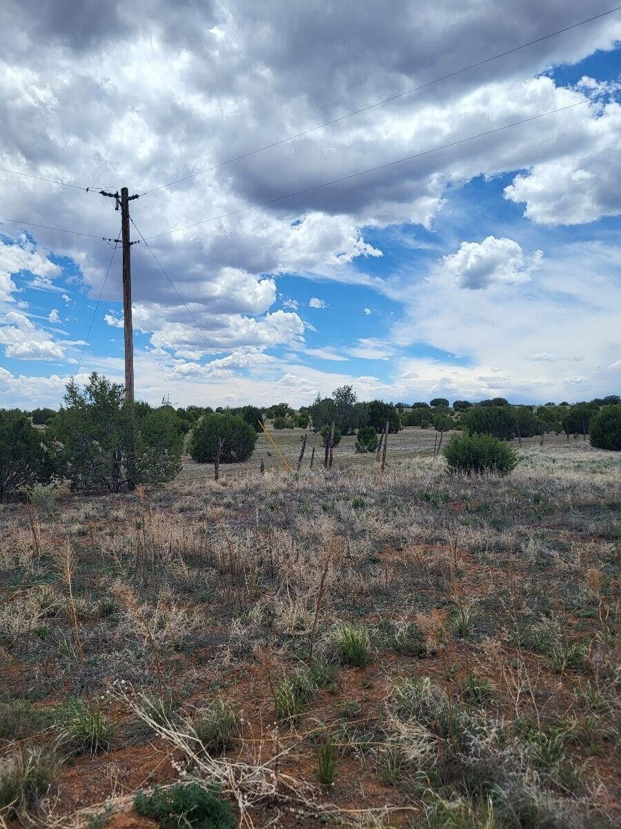 Photo 5 —  Bullion Road