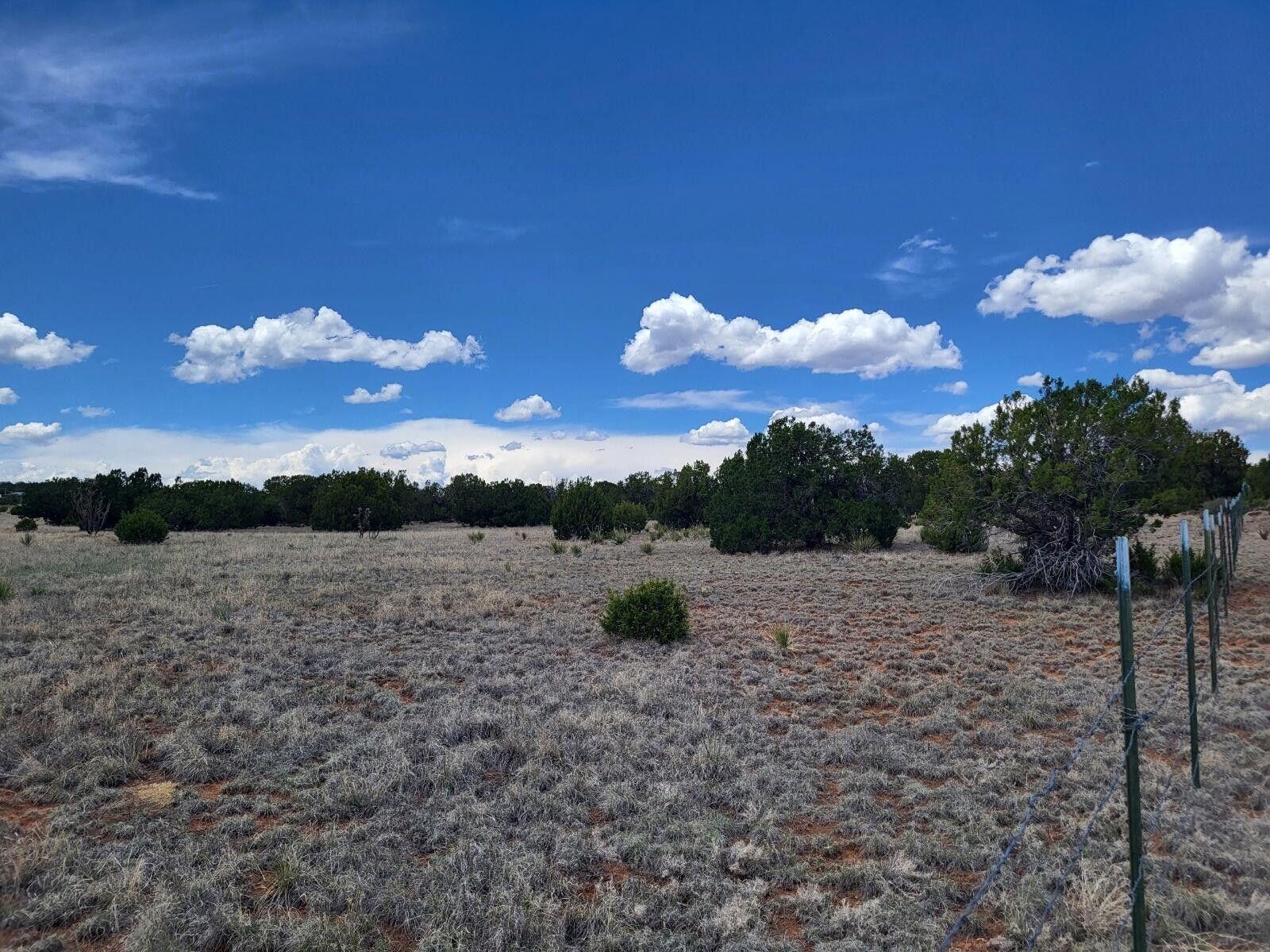 Photo 4 —  Bullion Road