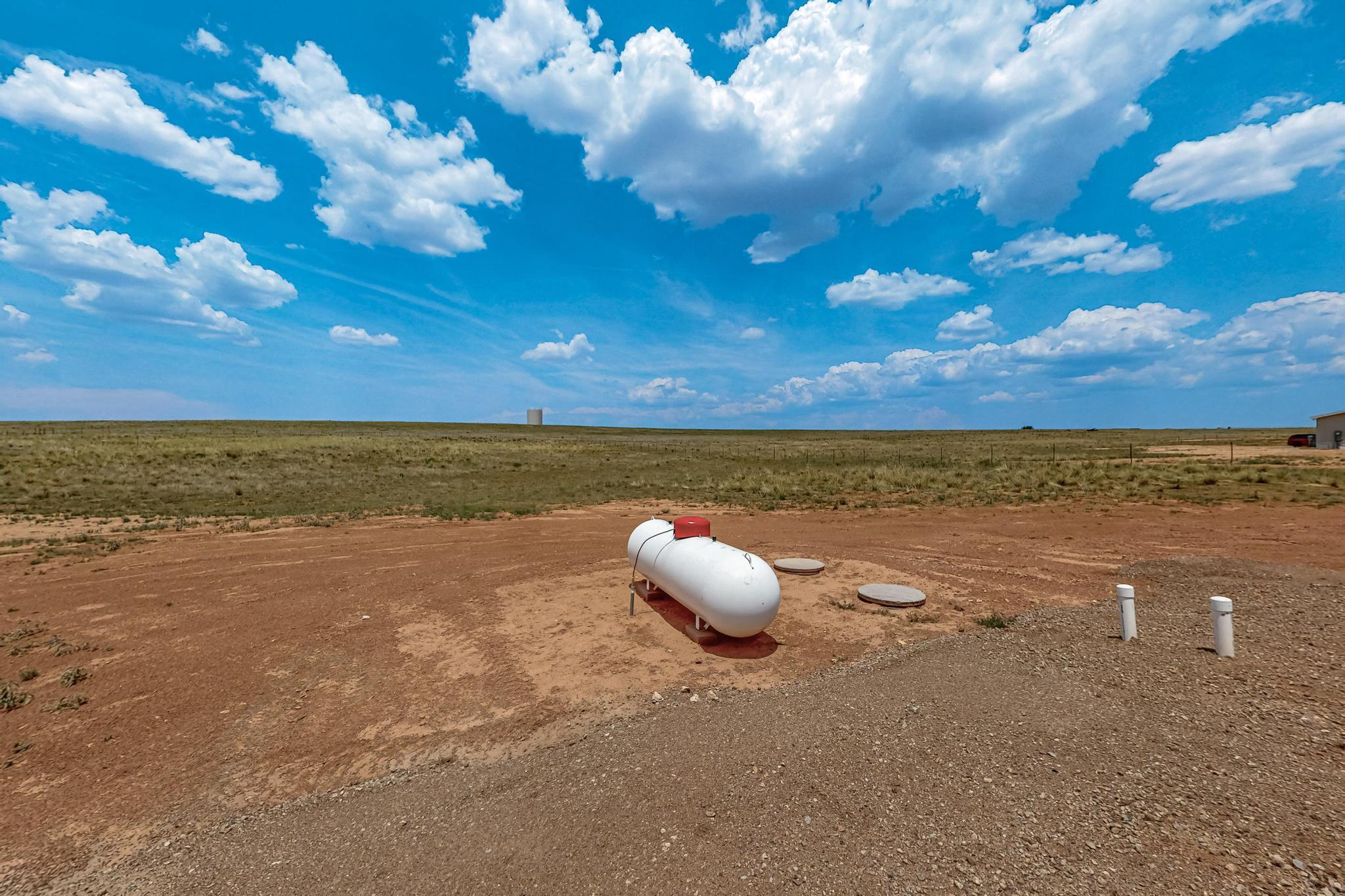 Photo 5 — 91 Cattle Loop