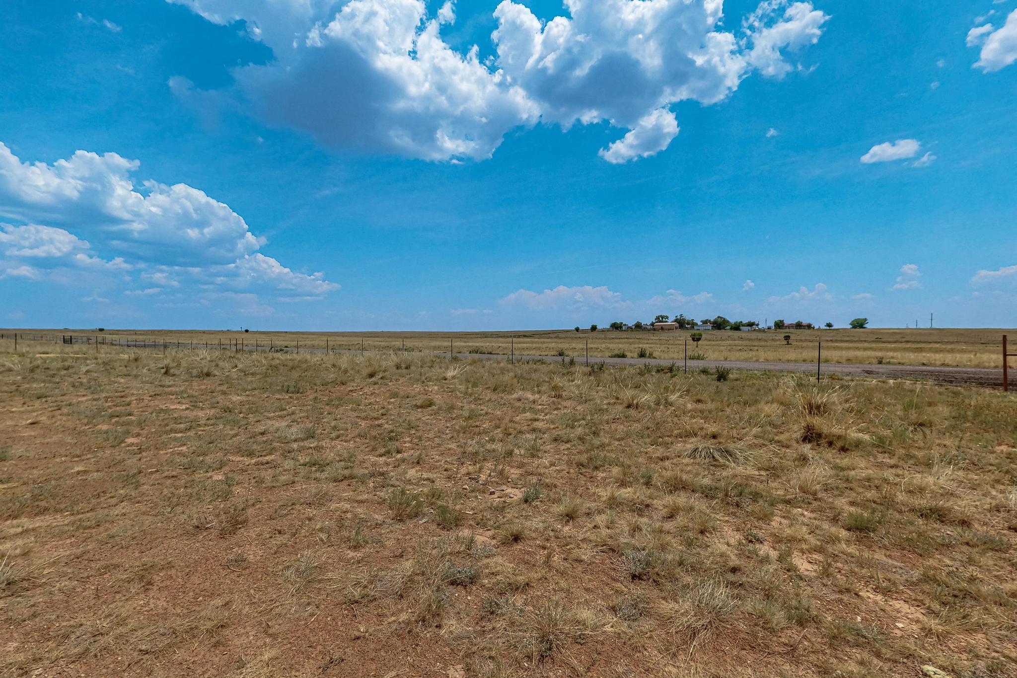 Photo 4 — 91 Cattle Loop