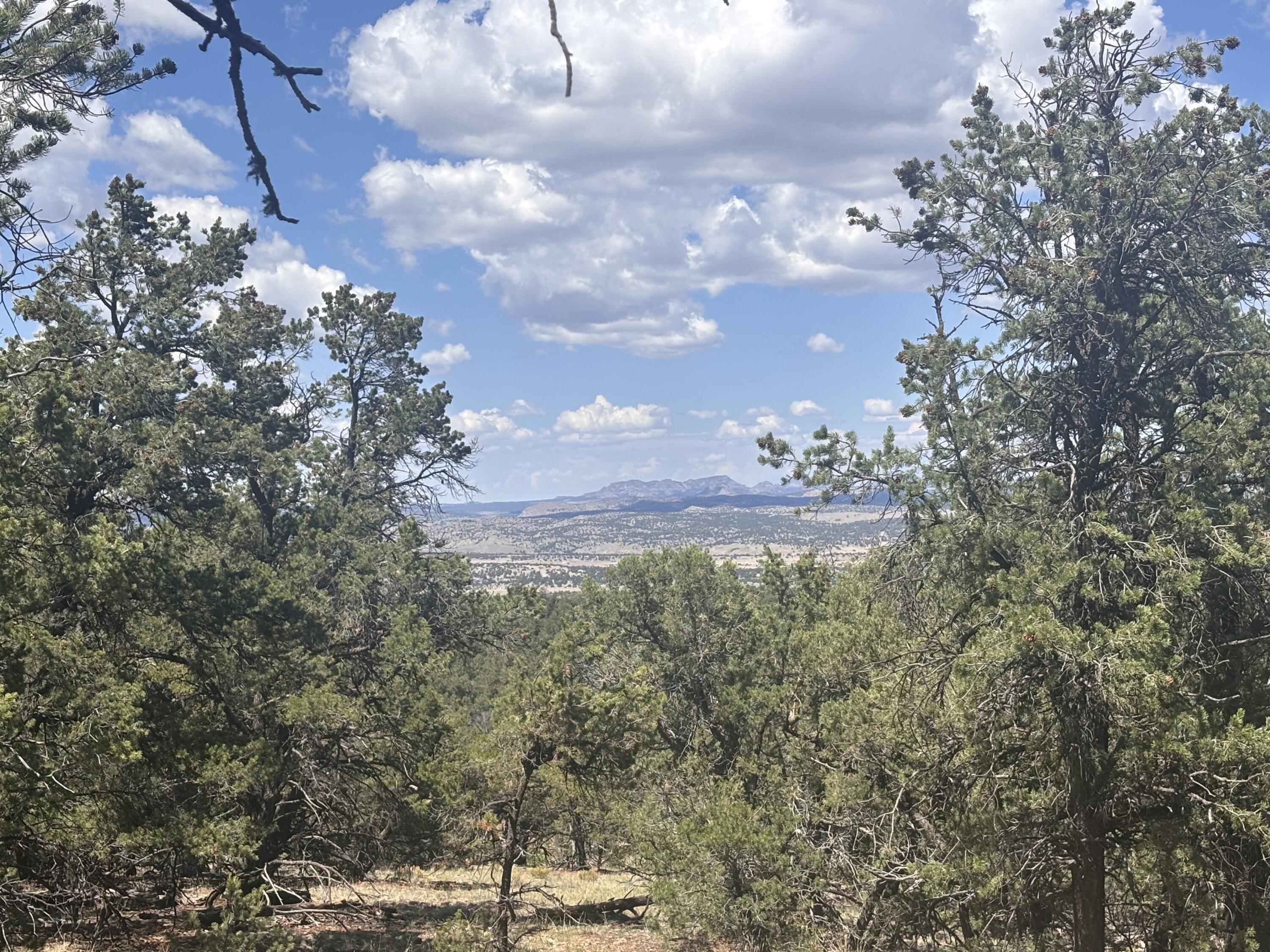  Lot 23 Tee Pee Ranch, Datil, NM 87821