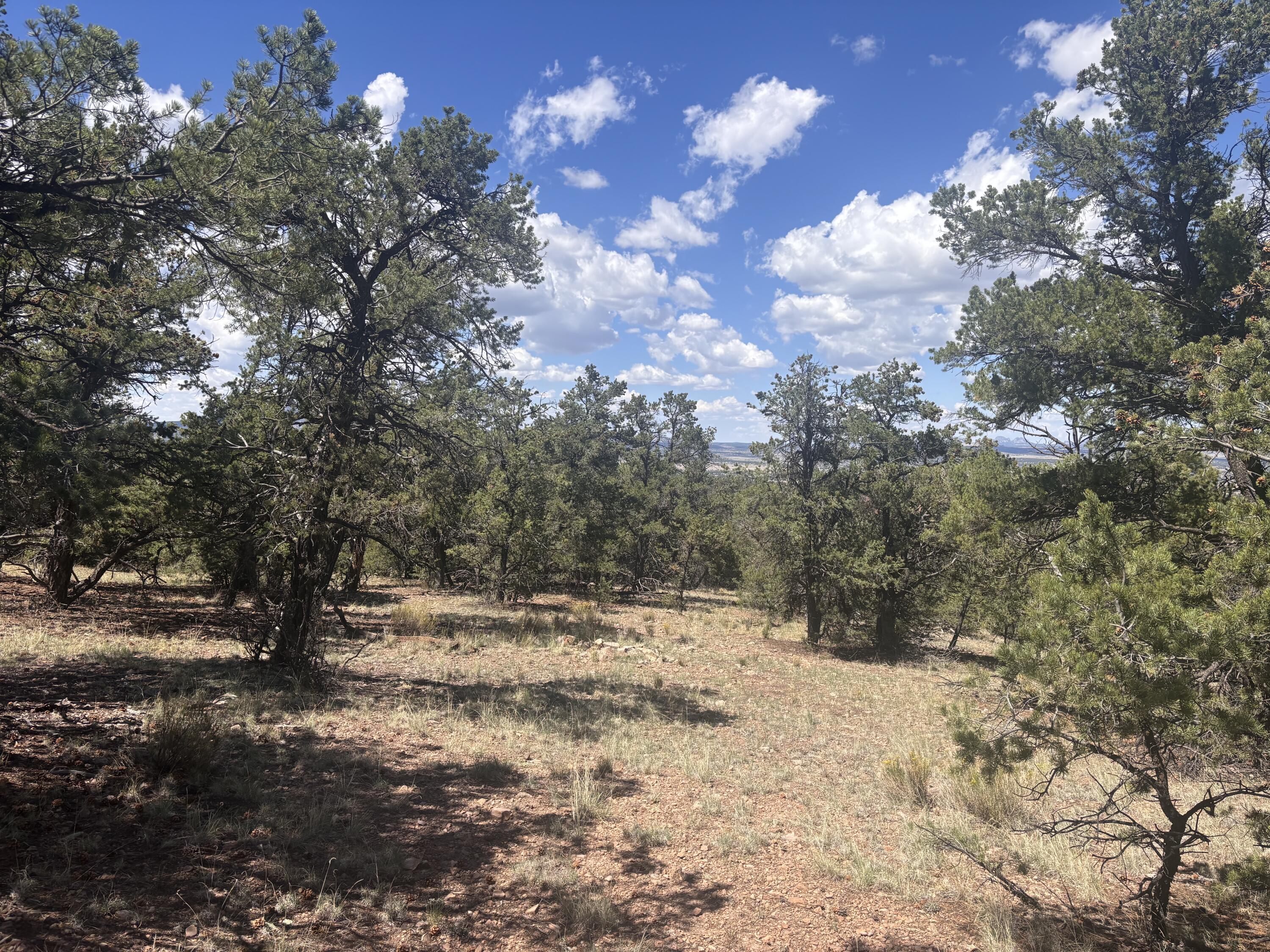Photo 17 —  Lot 23 Tee Pee Ranch