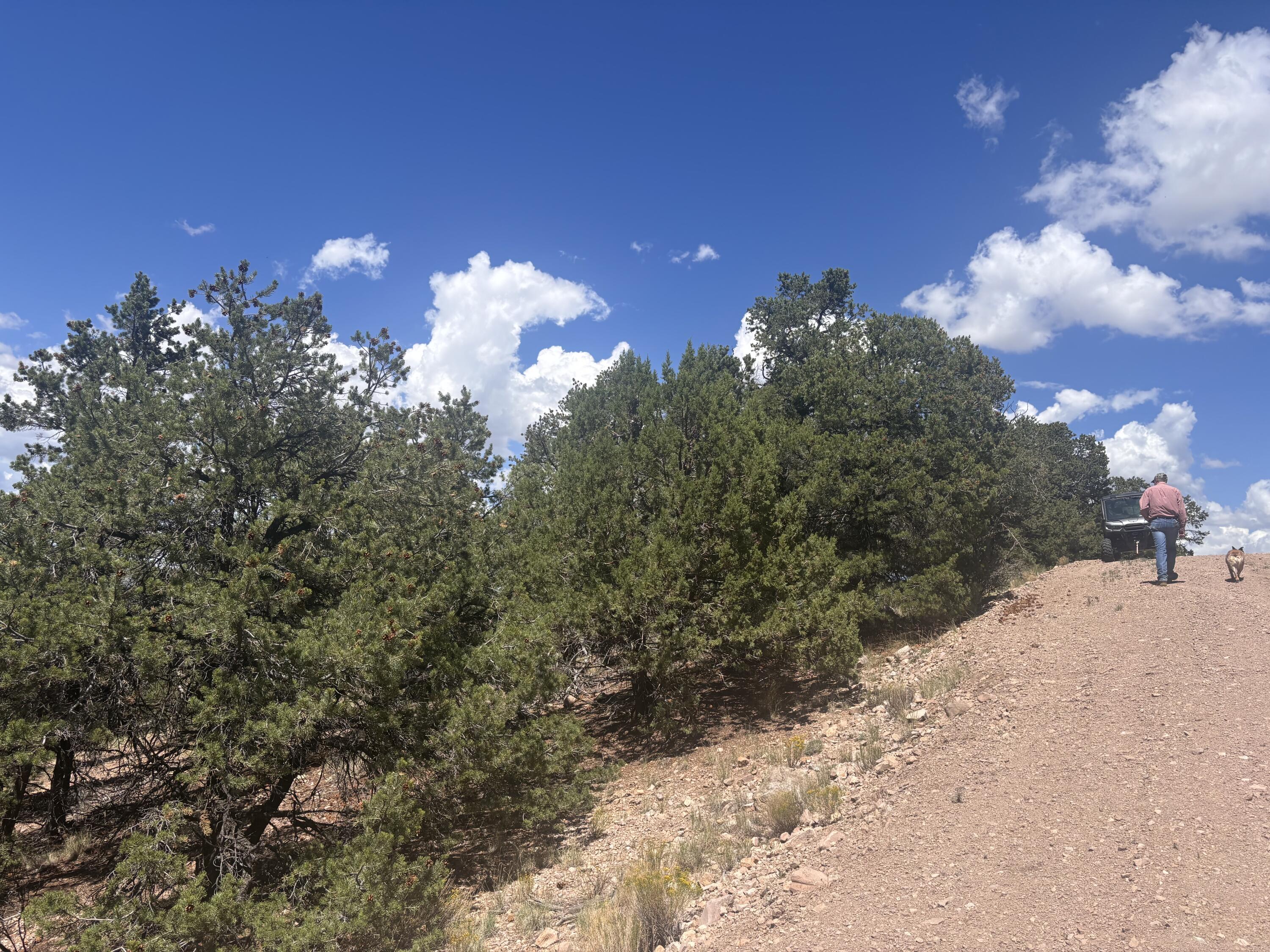 Photo 7 —  Lot 23 Tee Pee Ranch