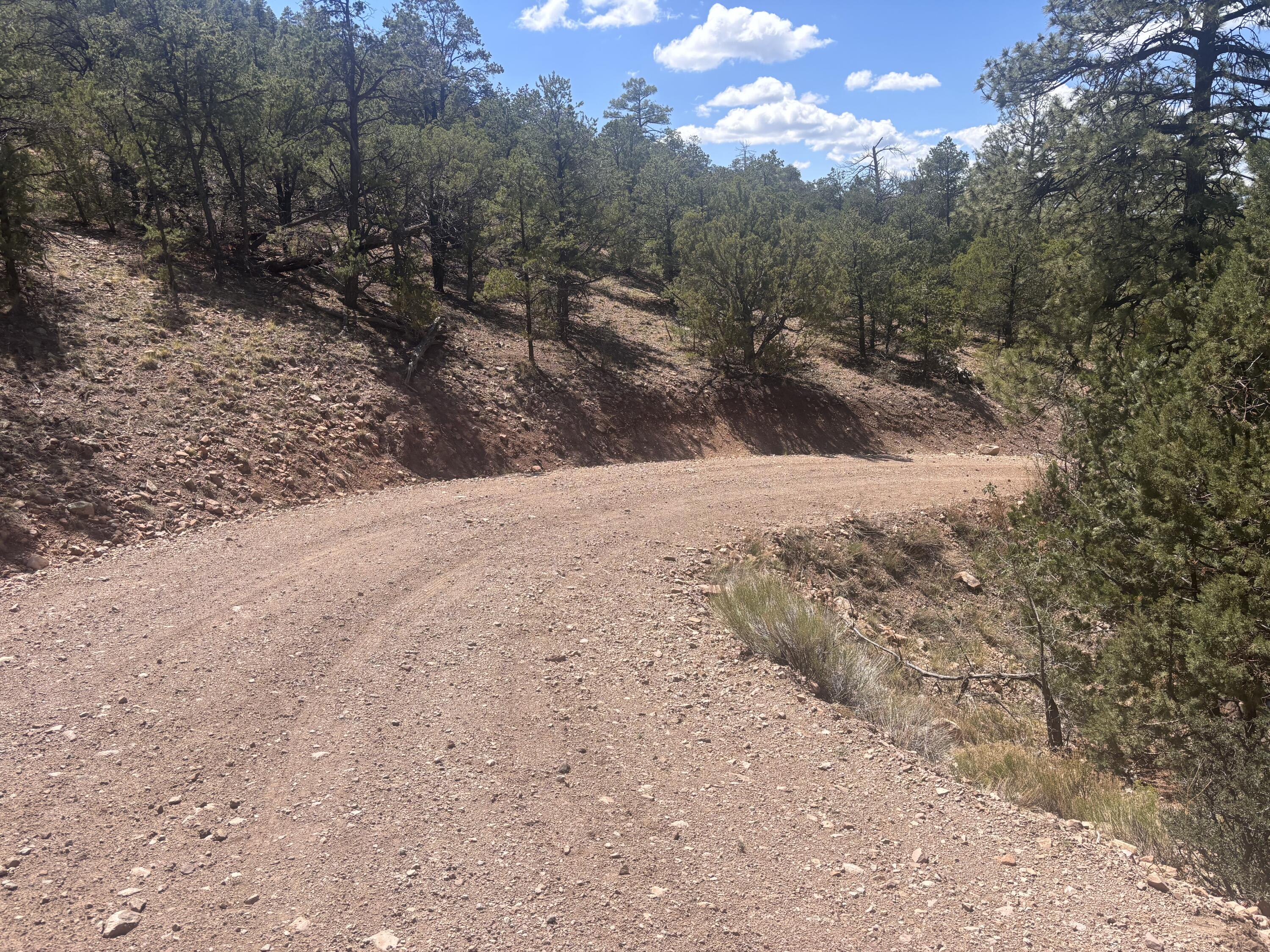 Photo 8 —  Lot 23 Tee Pee Ranch