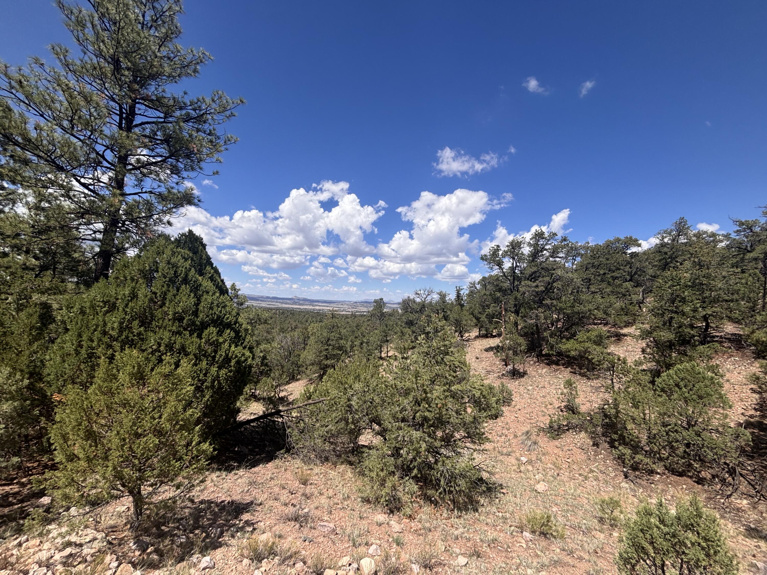 Photo 9 —  Lot 23 Tee Pee Ranch