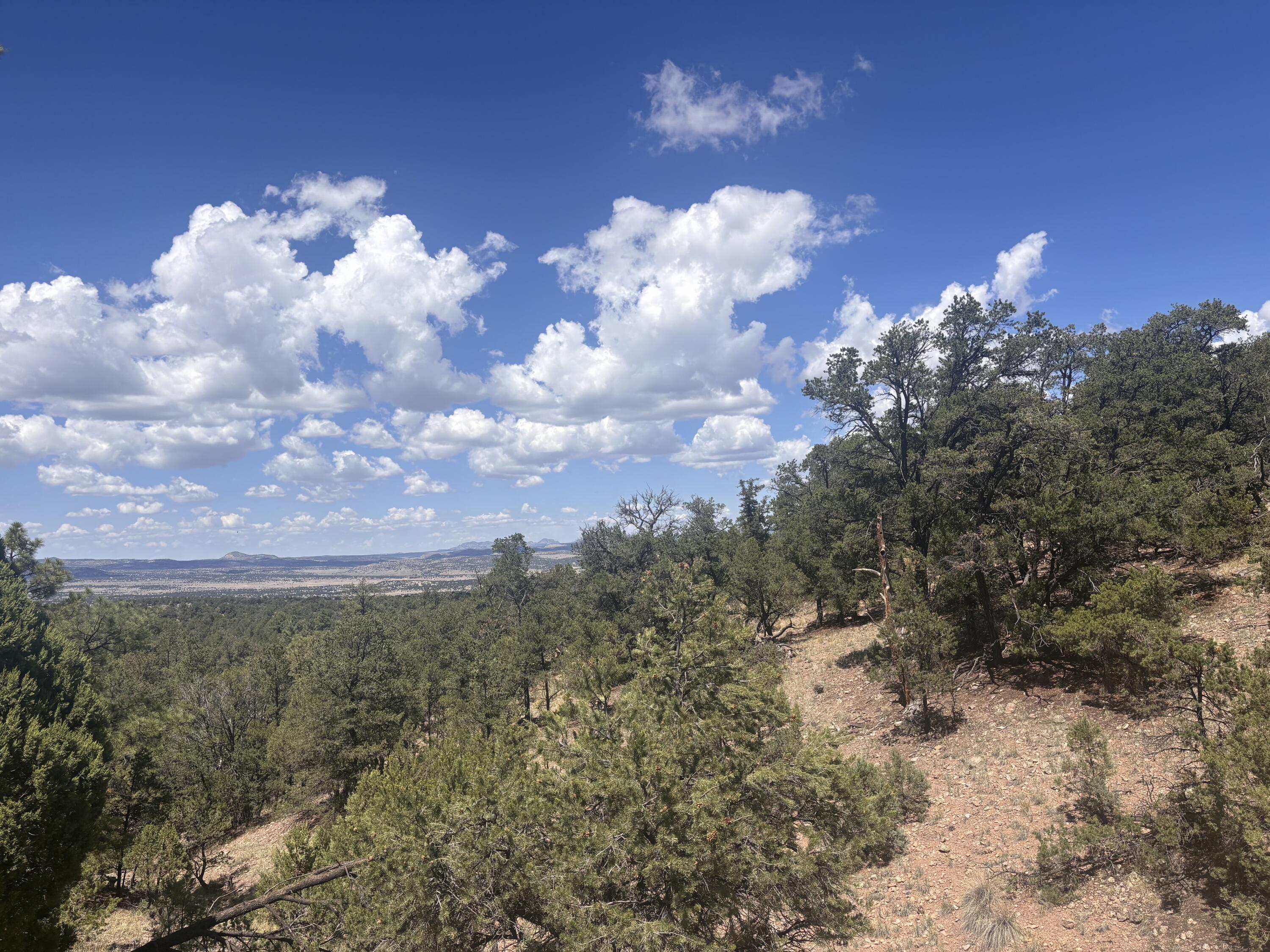 Photo 12 —  Lot 23 Tee Pee Ranch