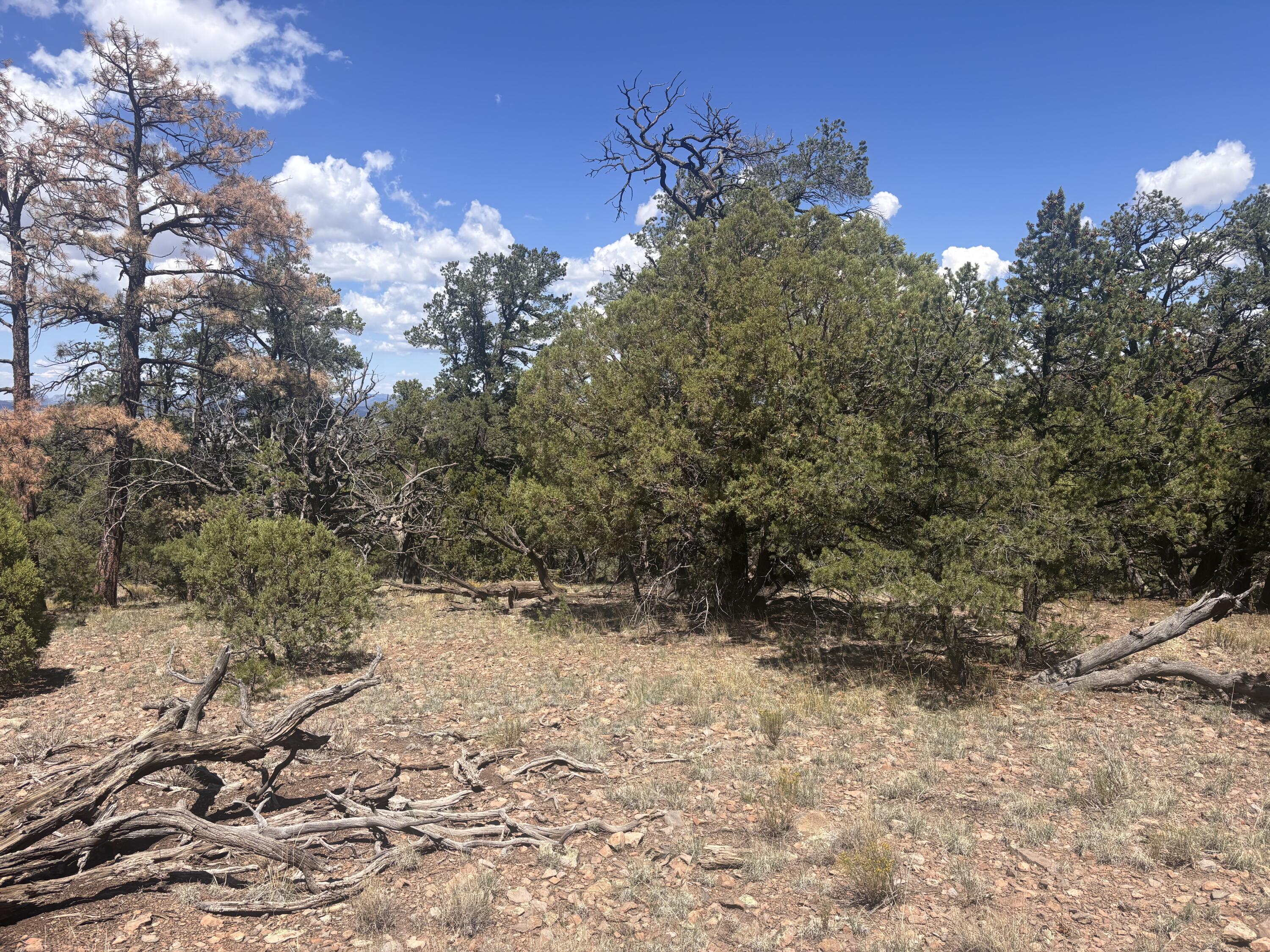 Photo 16 —  Lot 23 Tee Pee Ranch