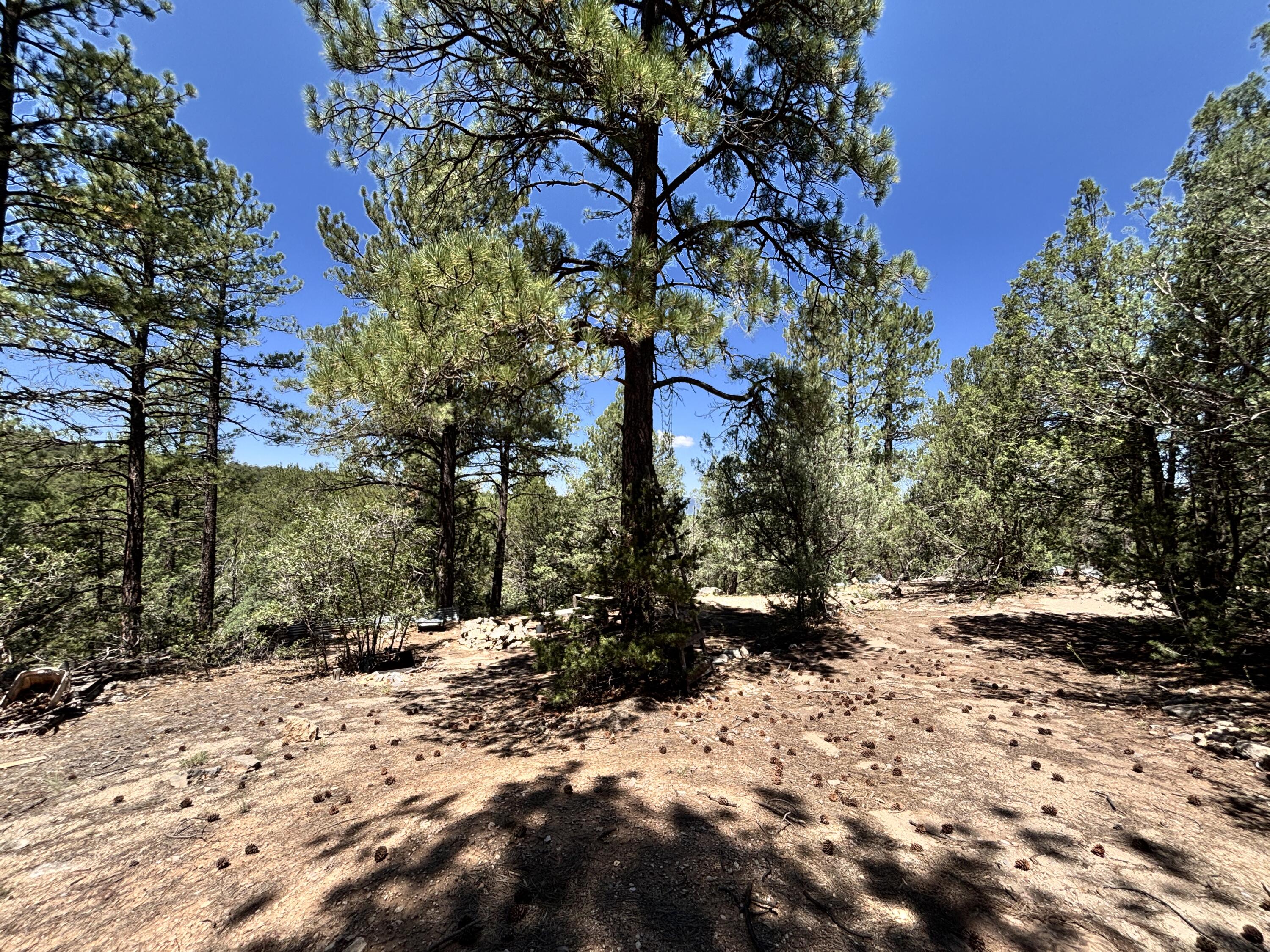 27 Green Shadows Lane, Tijeras, NM 87059