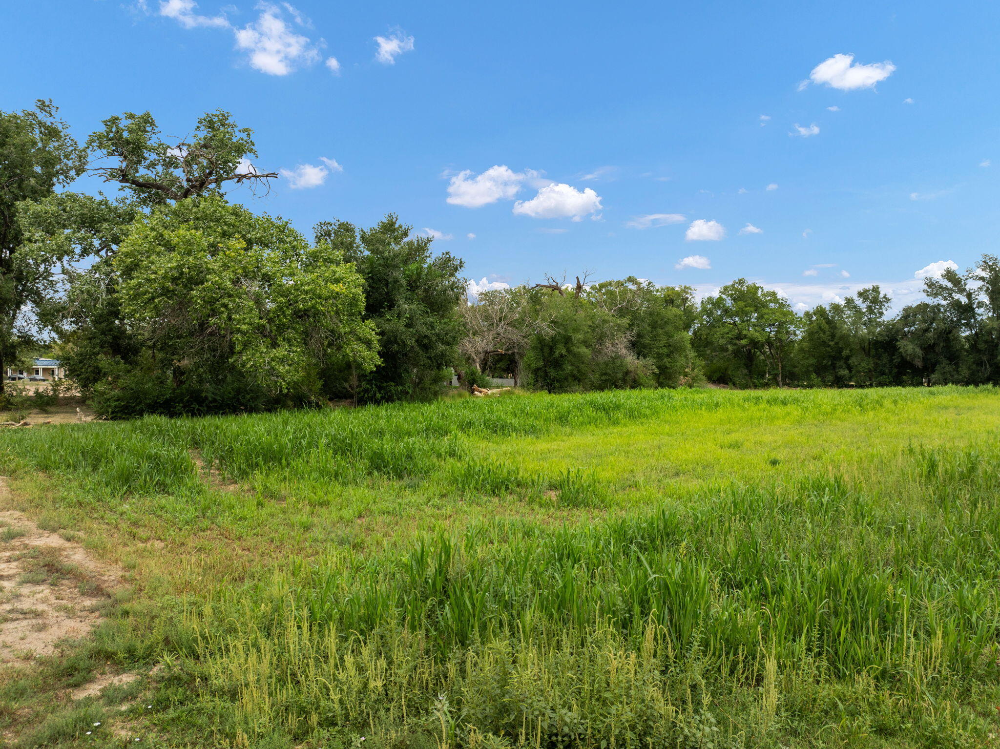 Photo 11 — 1001 COTTONWOOD Drive NW