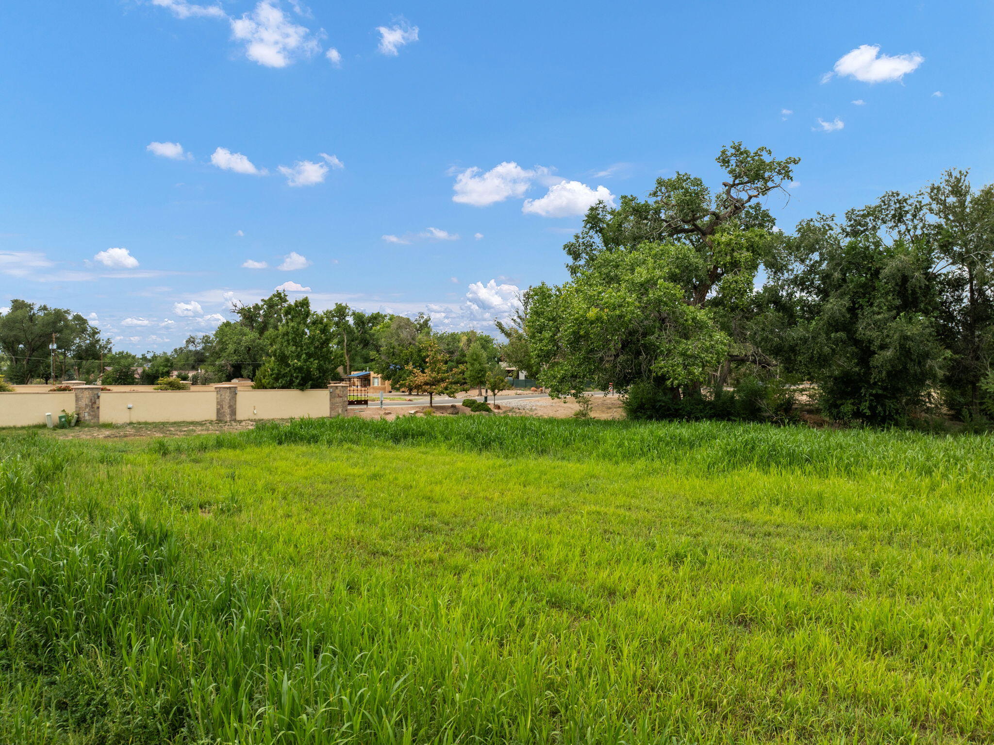 Photo 12 — 1001 COTTONWOOD Drive NW