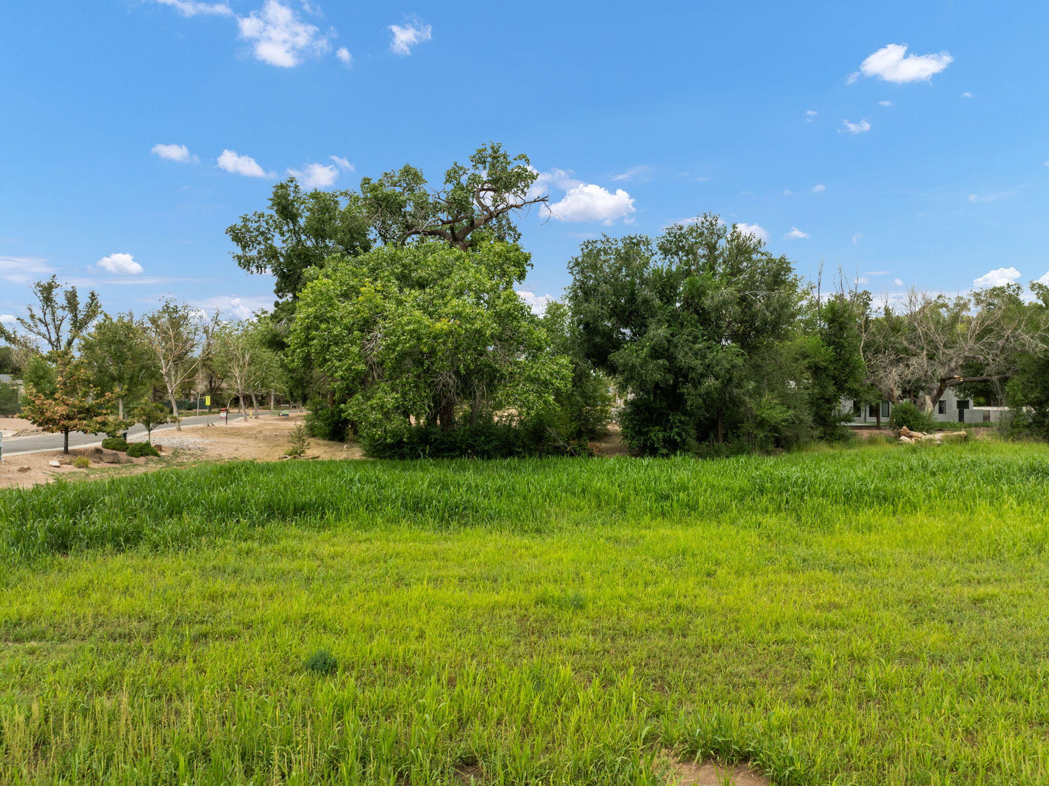 Photo 13 — 1001 COTTONWOOD Drive NW
