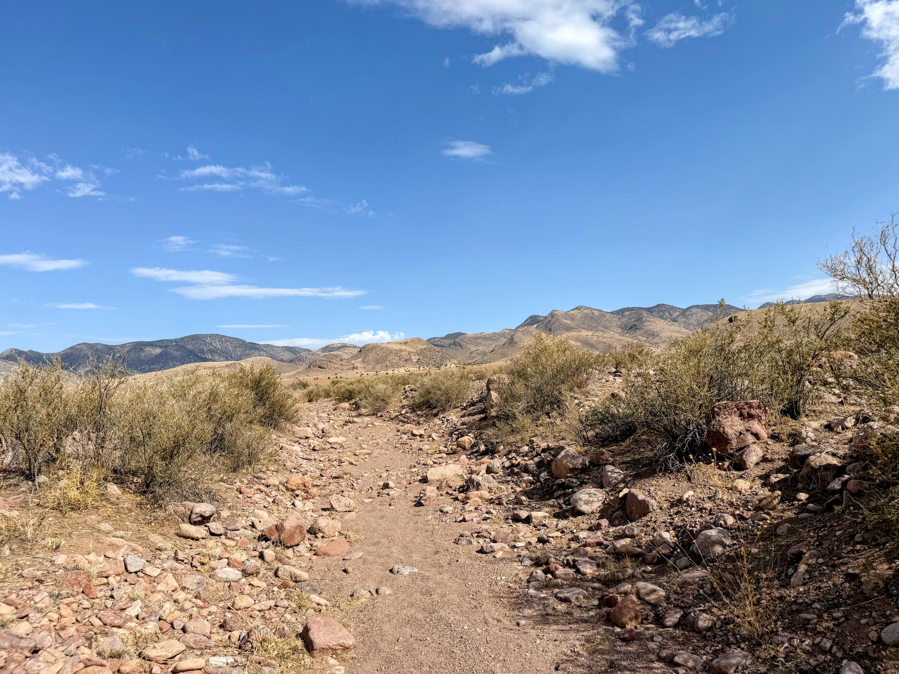 Photo 10 — Lot 122 Golden Ridge