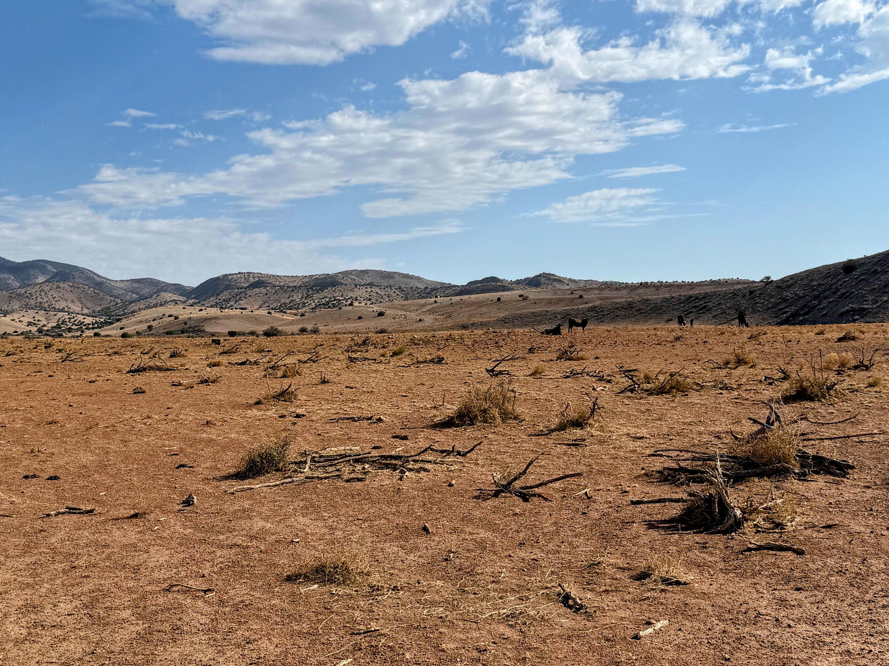Photo 18 — Lot 122 Golden Ridge