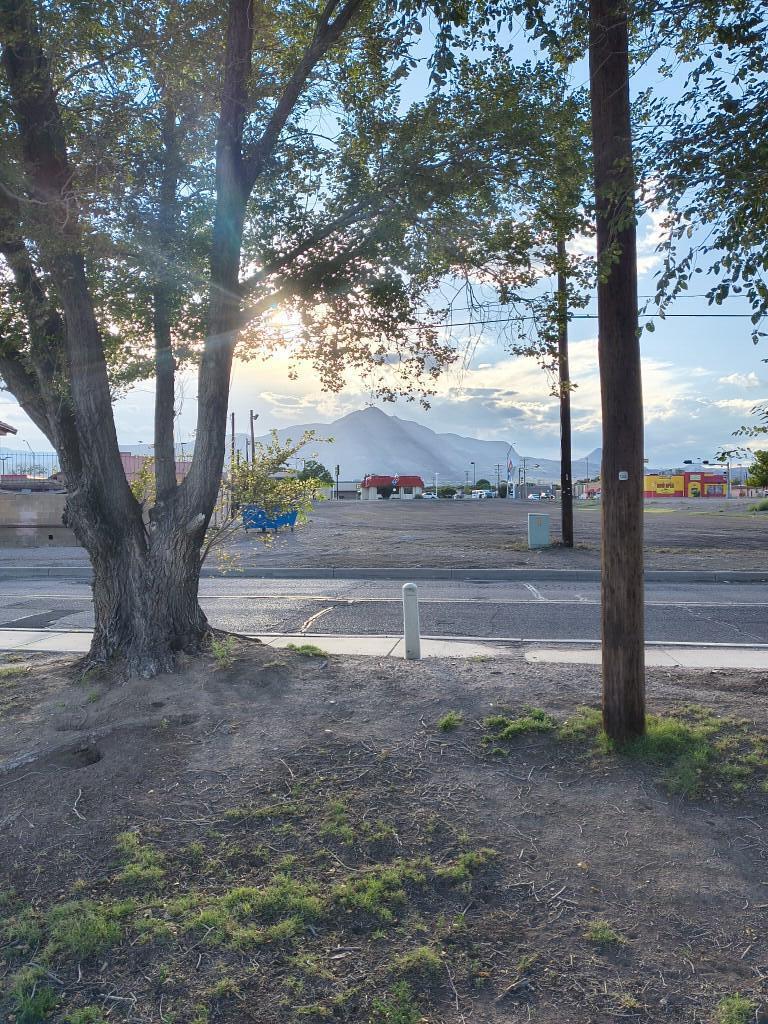 Photo 2 — 916 6th ST.