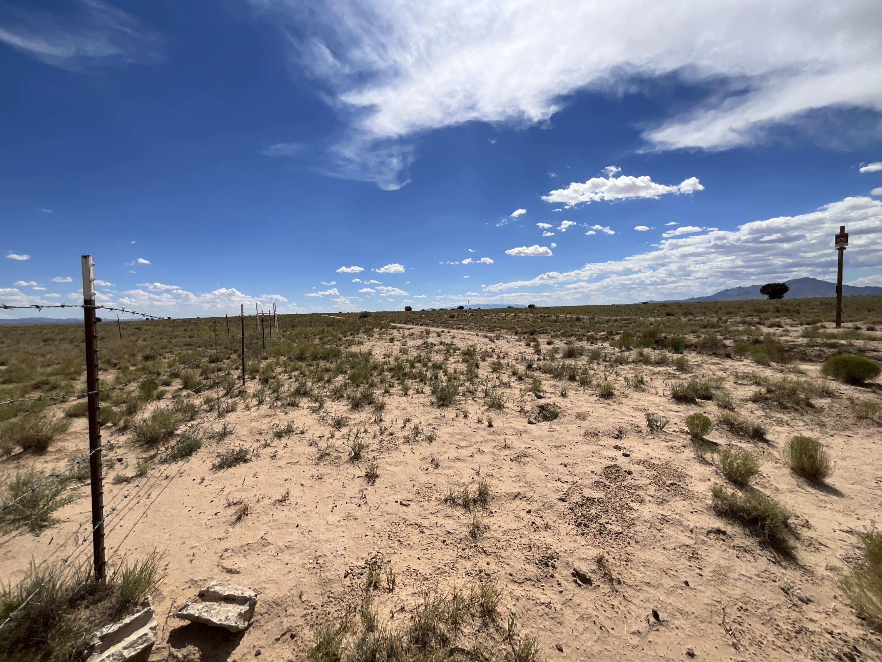 Photo 17 — 328 Twining Road