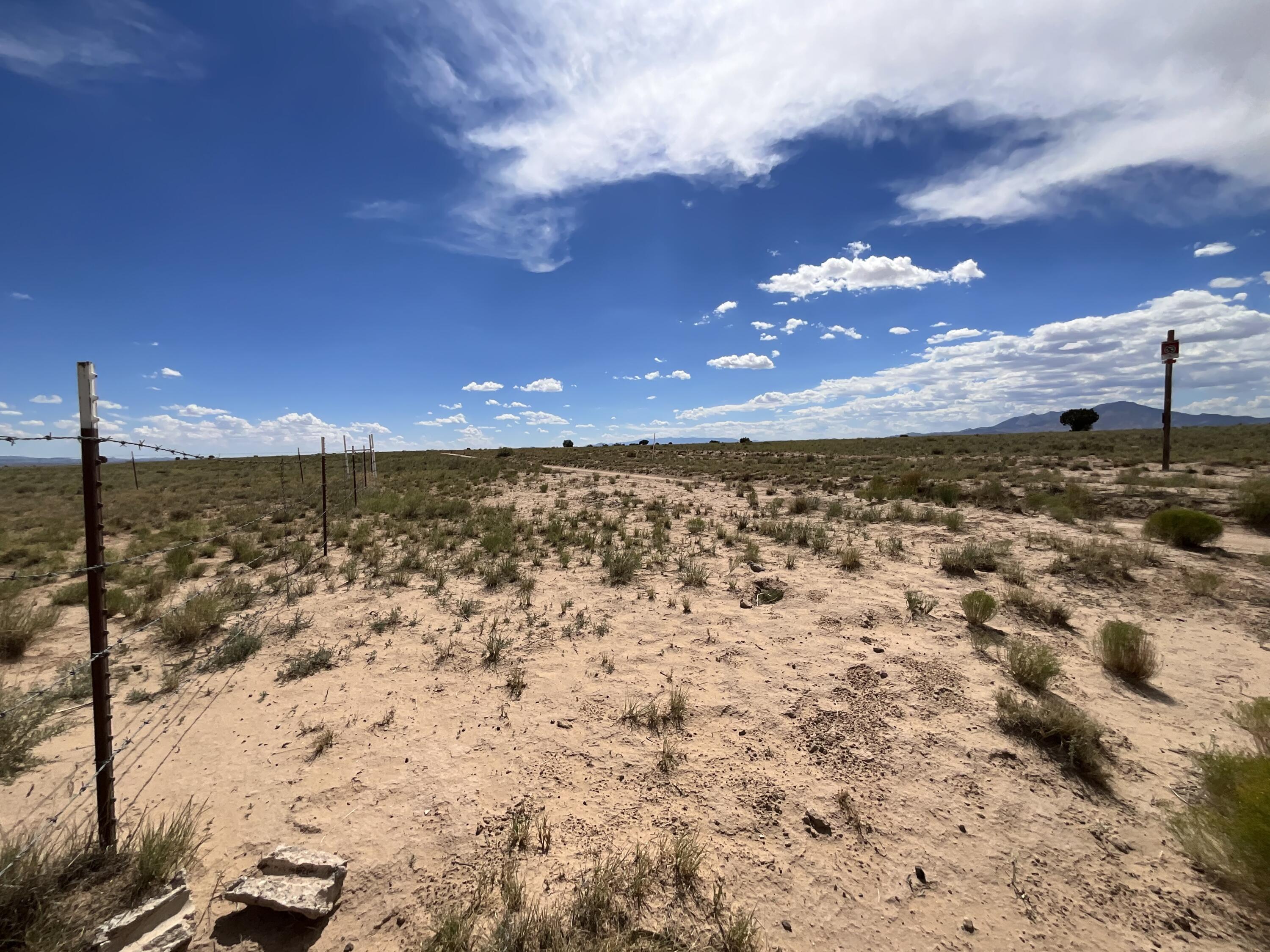 Photo 8 — 328 Twining Road