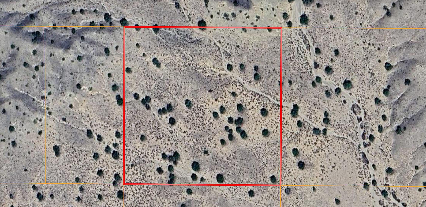 Photo 3 — Lot 4 North of NM Hwy 6