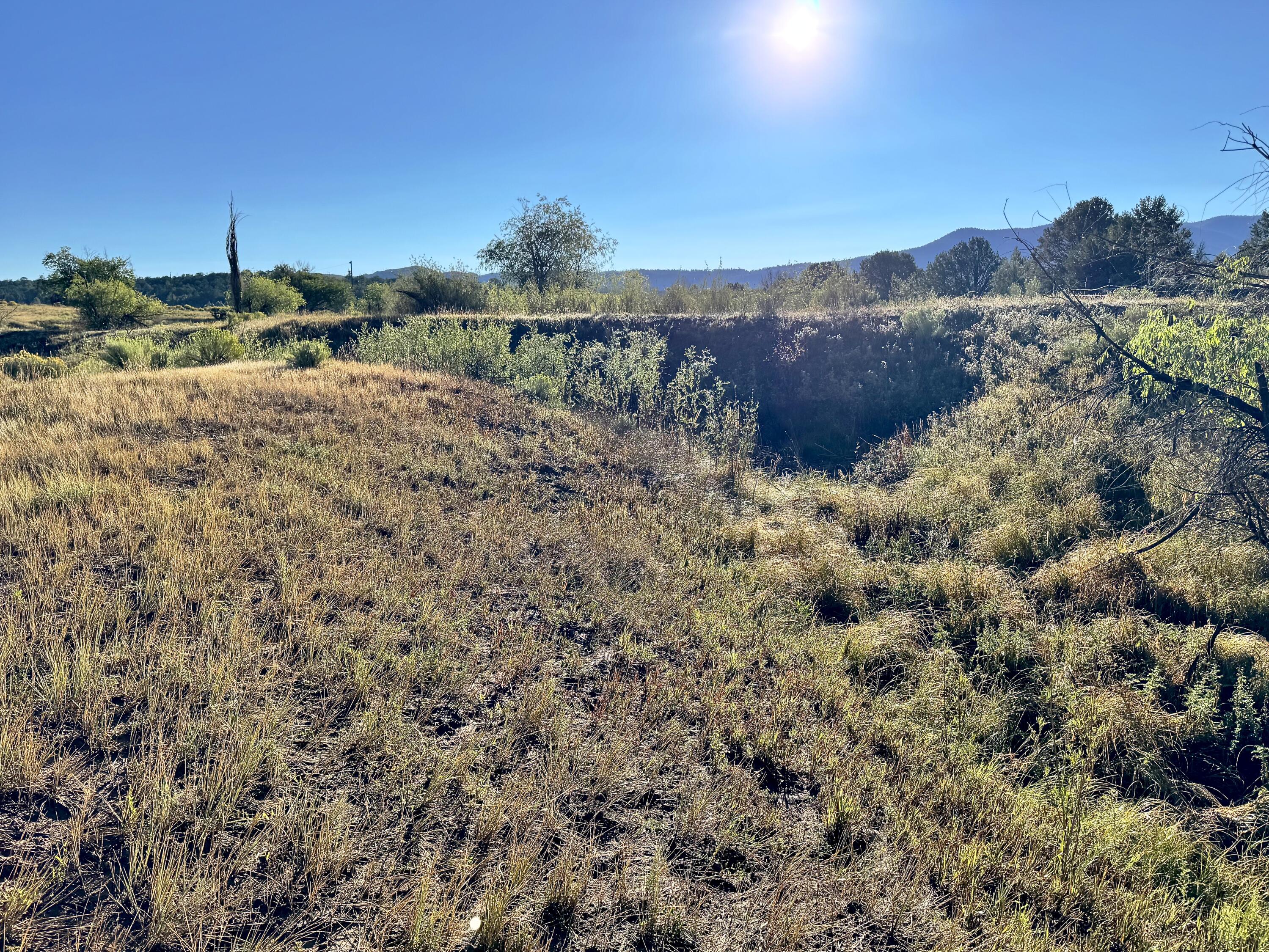 Photo 20 — TBD State Highway 96