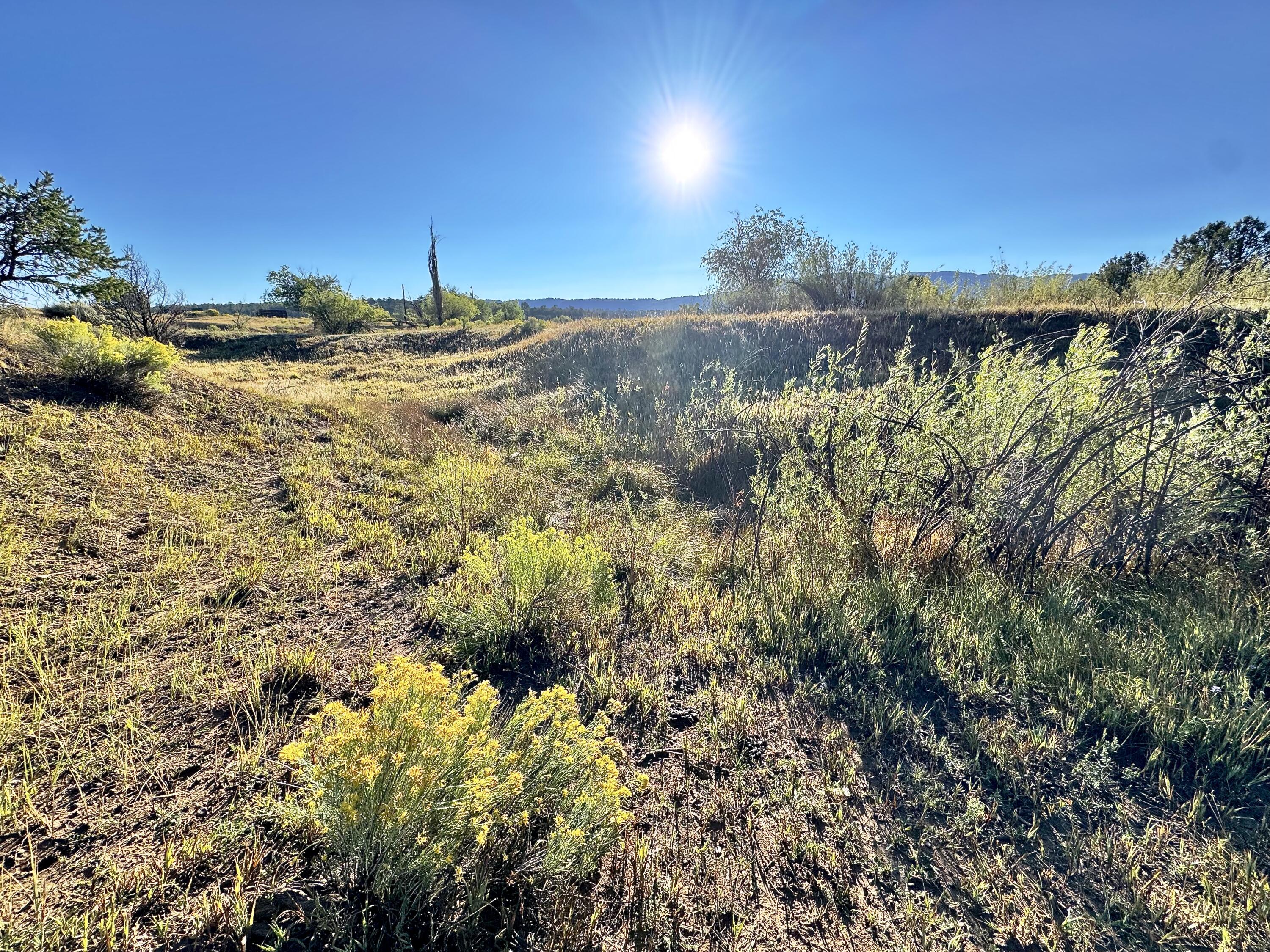 Photo 19 — TBD State Highway 96