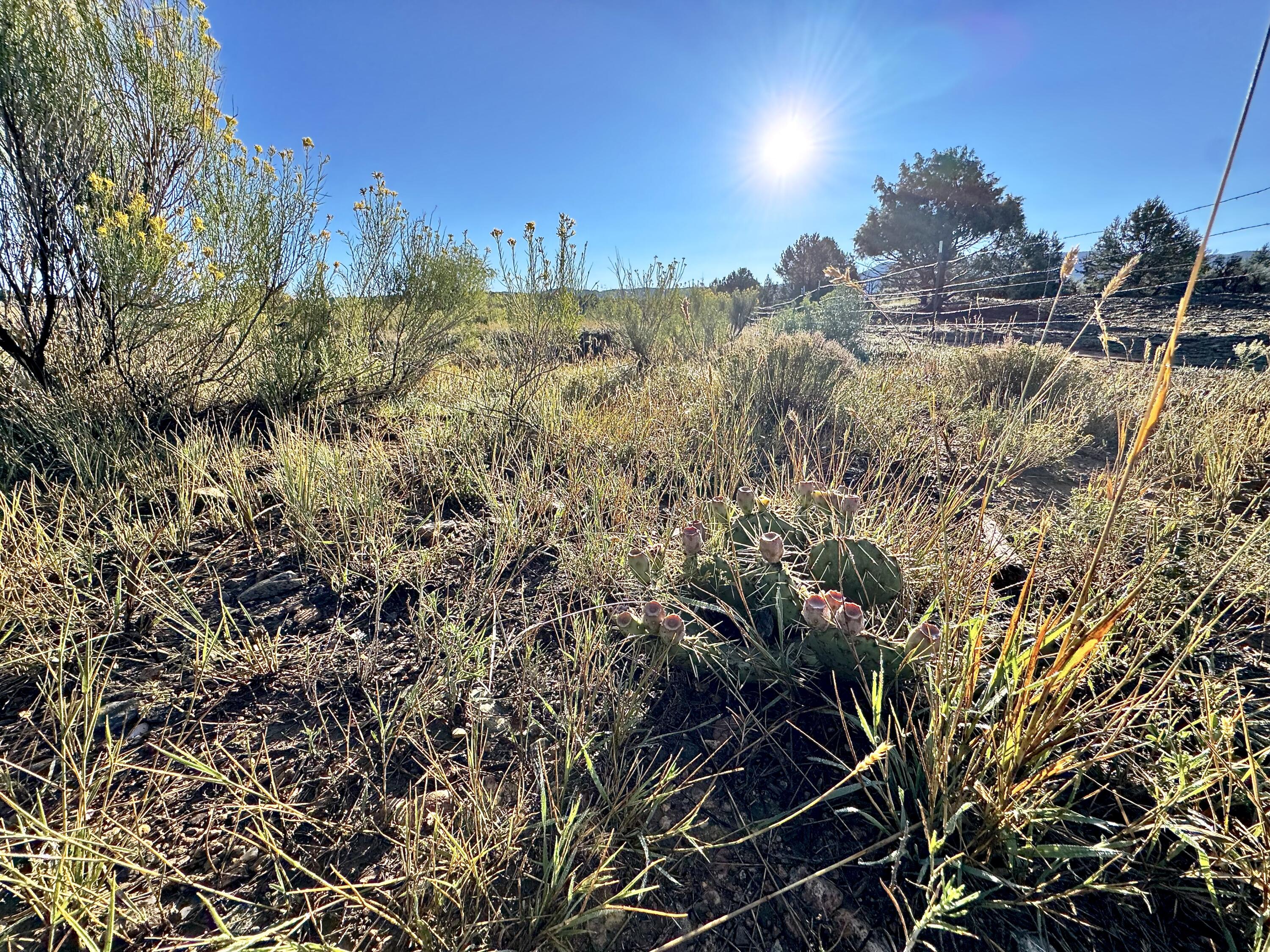 Photo 18 — TBD State Highway 96