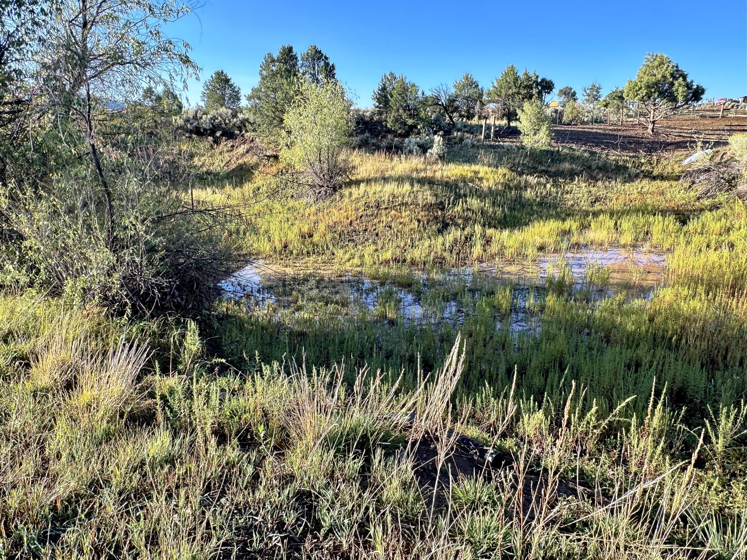 Photo 16 — TBD State Highway 96