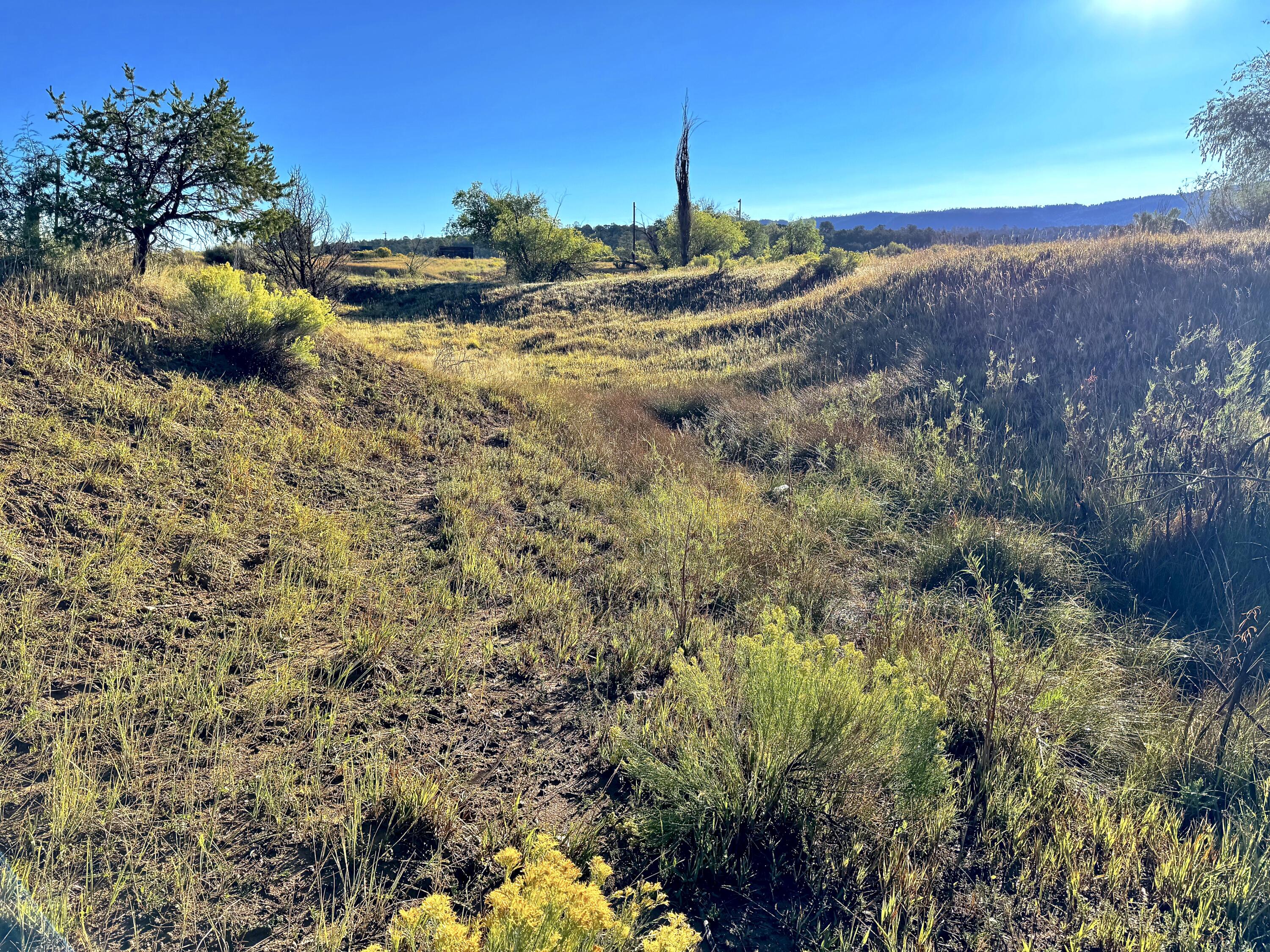 Photo 14 — TBD State Highway 96