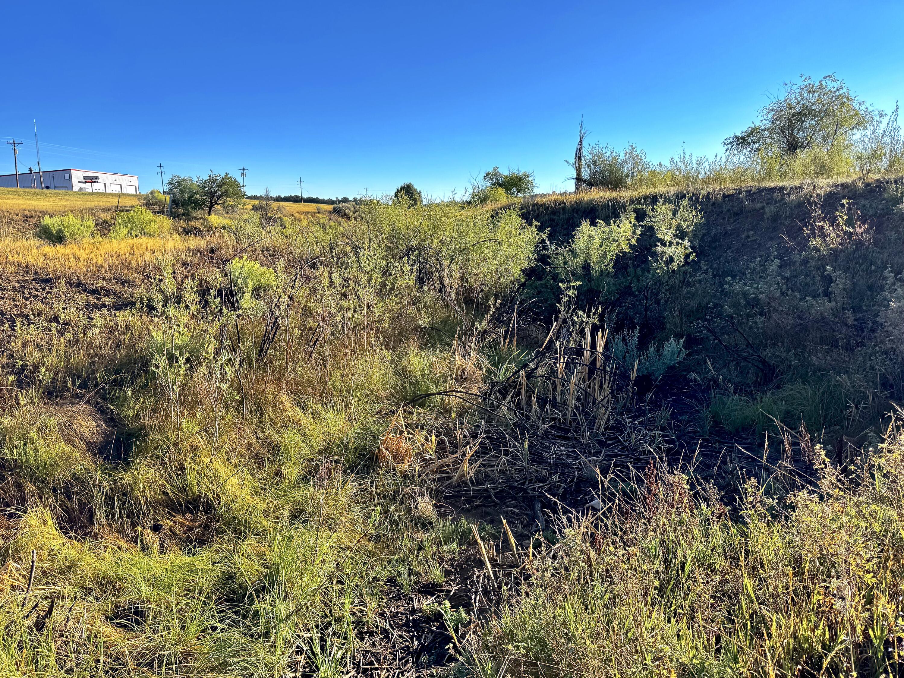 Photo 11 — TBD State Highway 96