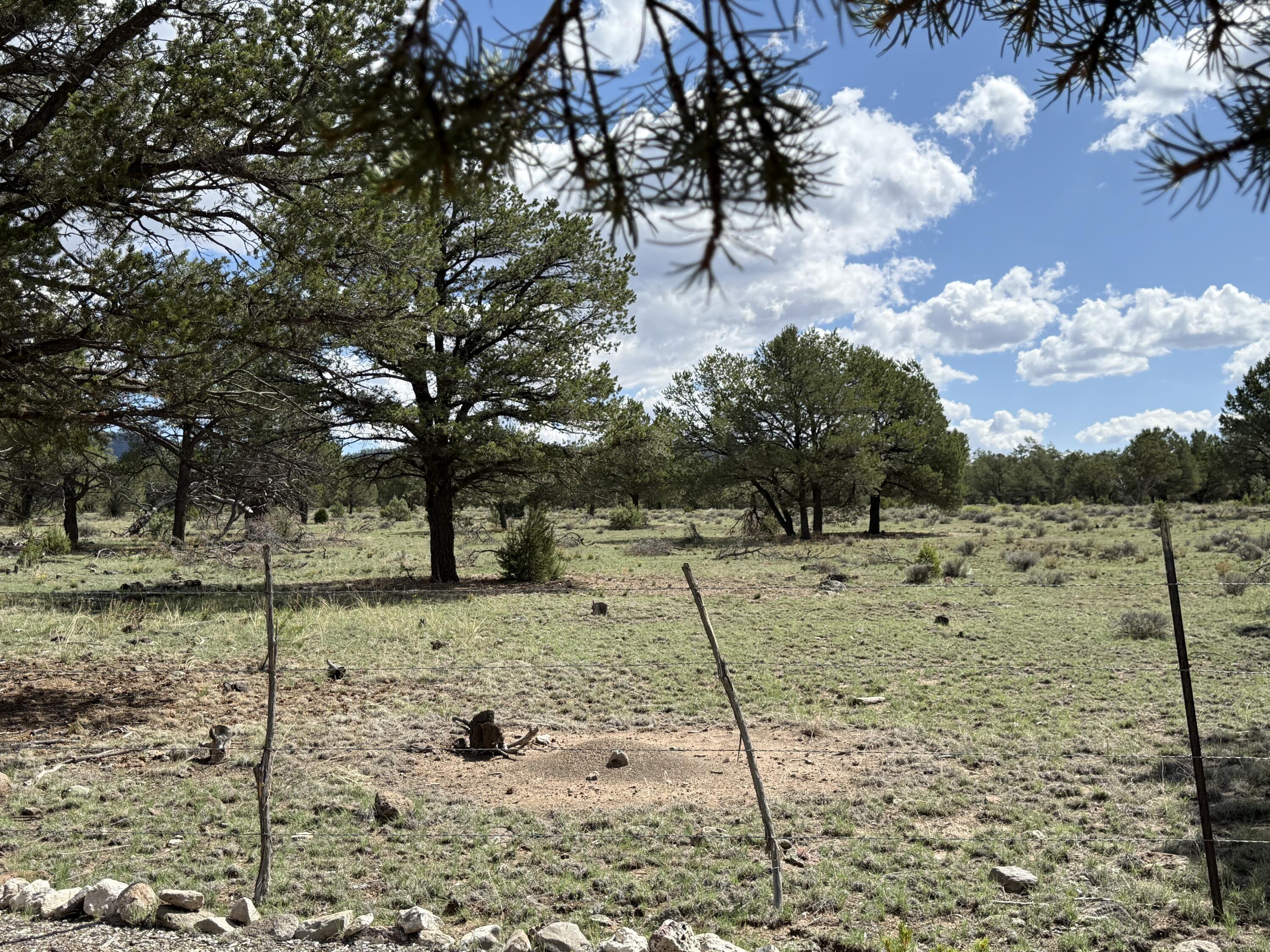 Photo 5 — 88 EL CASO Road