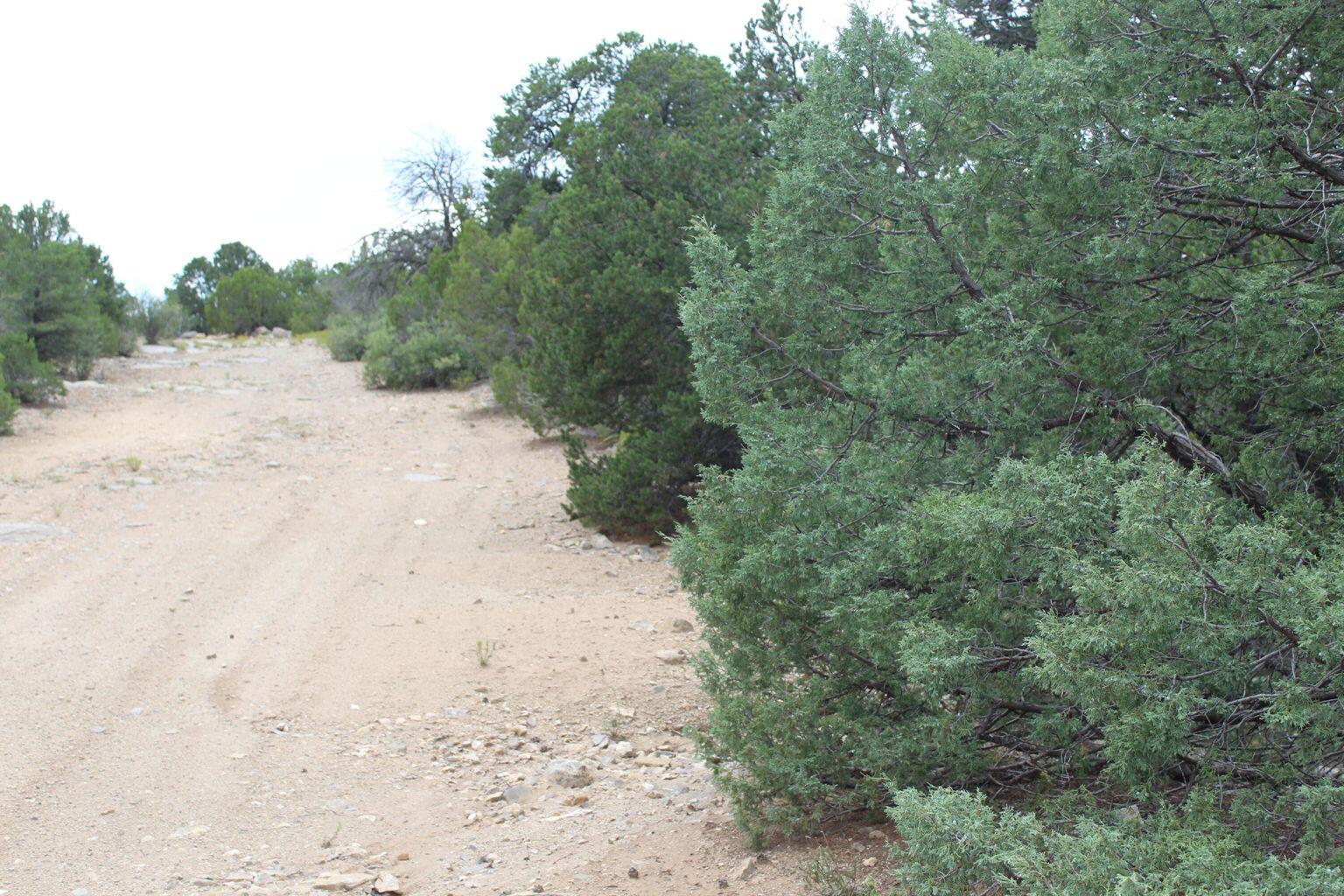 Photo 7 — 250 FIVE HILLS Drive