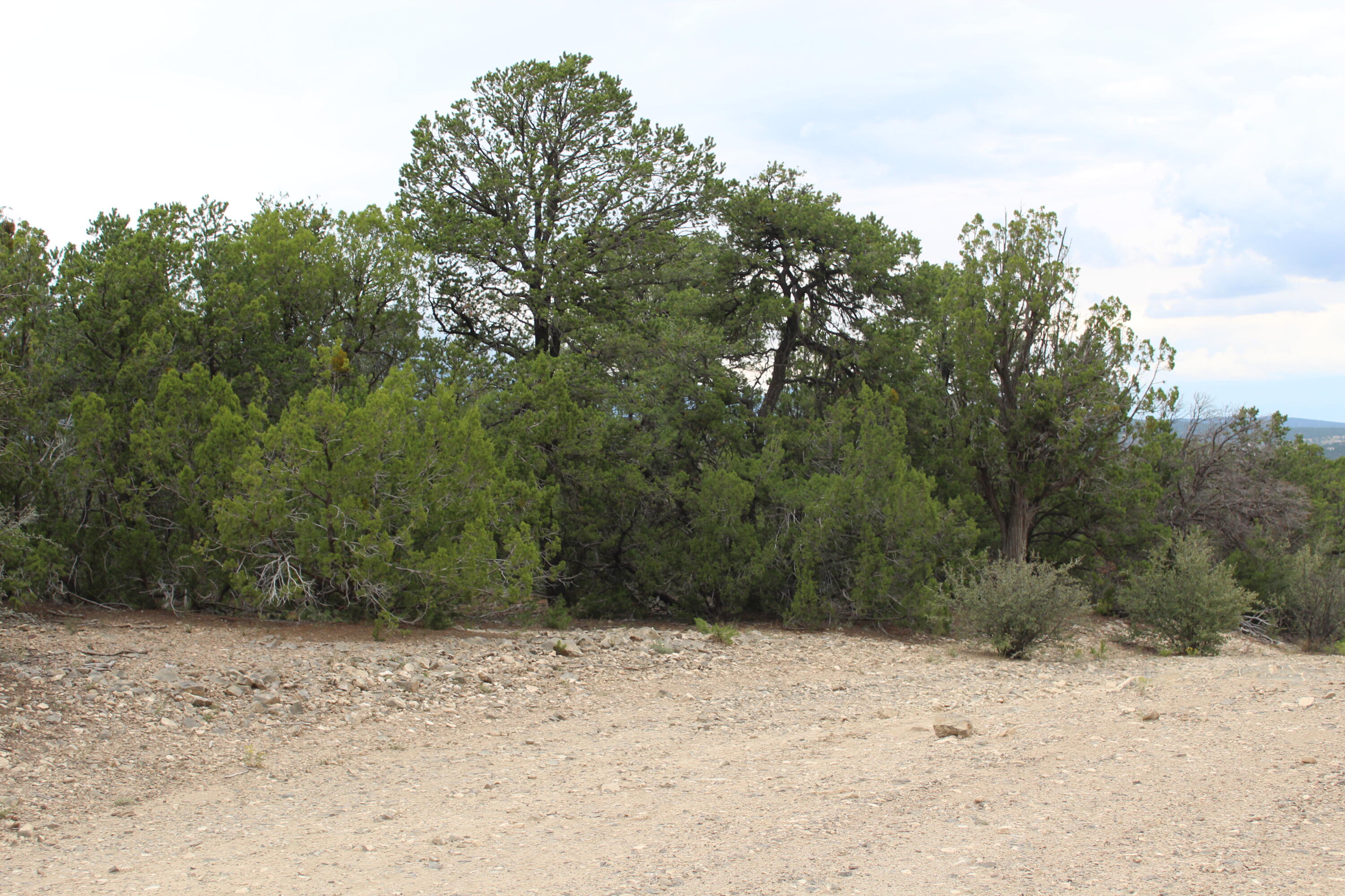 Photo 6 — 3 Manzano Loop