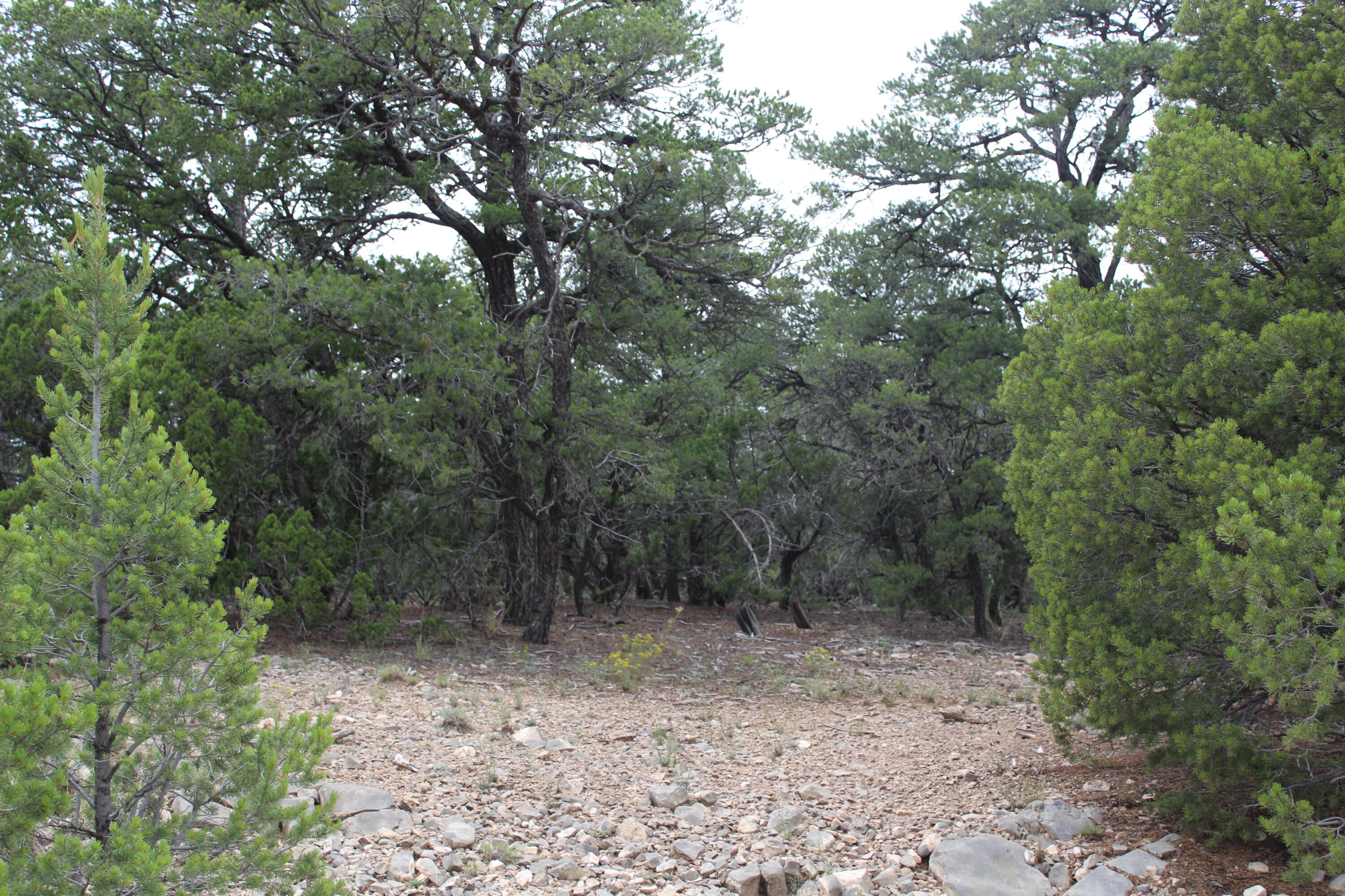 Photo 13 — 3 Manzano Loop