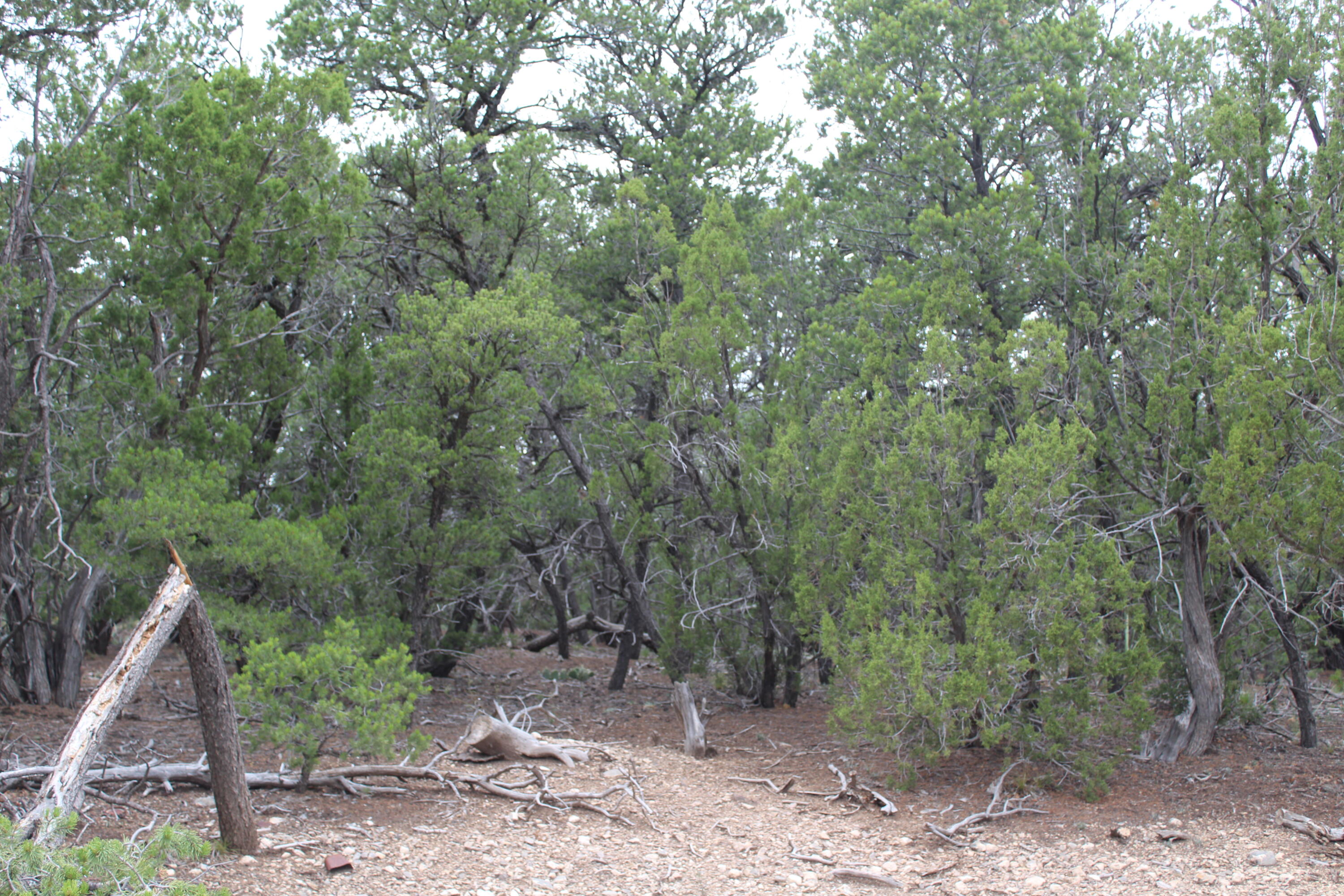 Photo 14 — 3 Manzano Loop