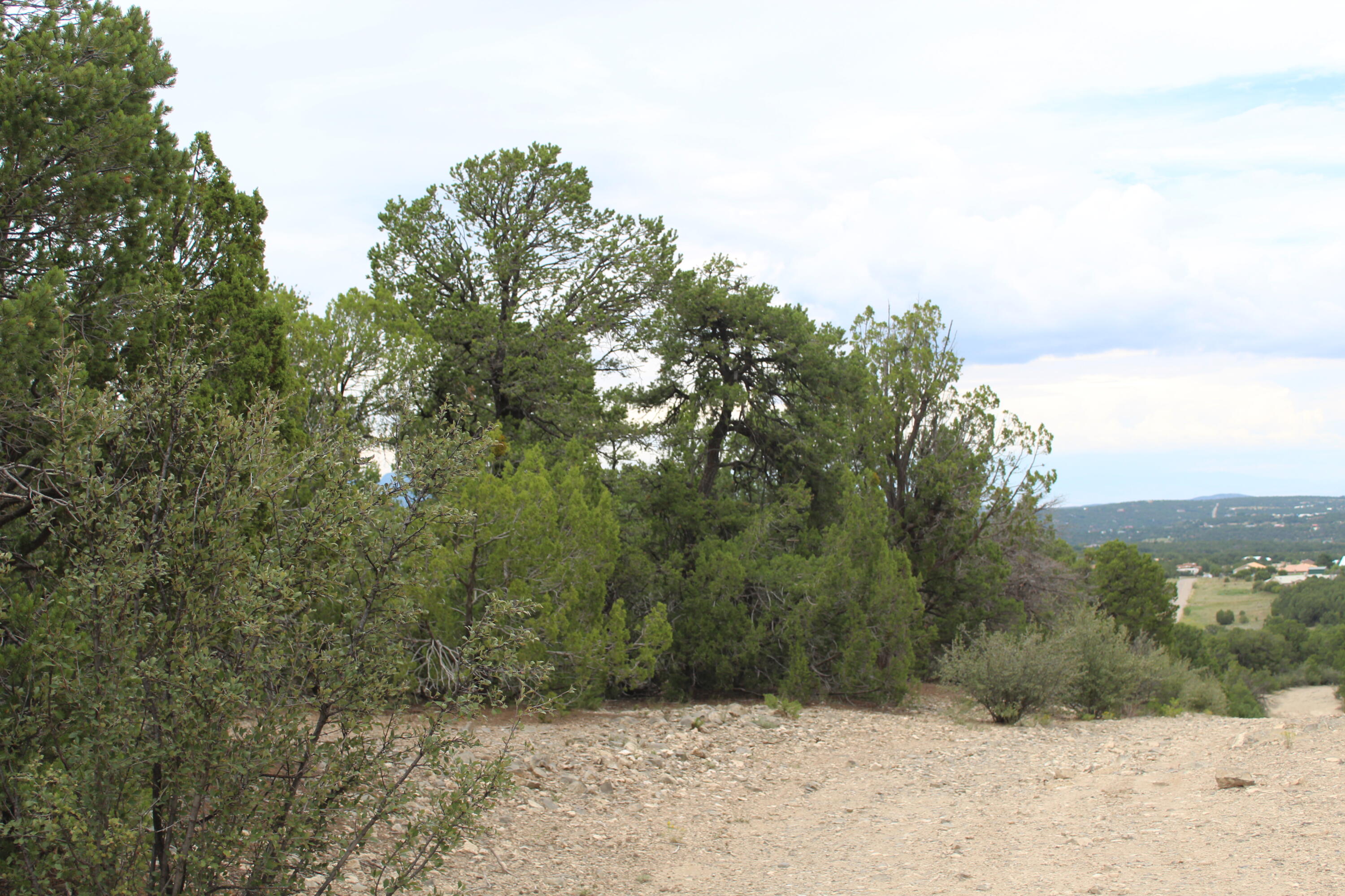 Photo 3 — 3 Manzano Loop