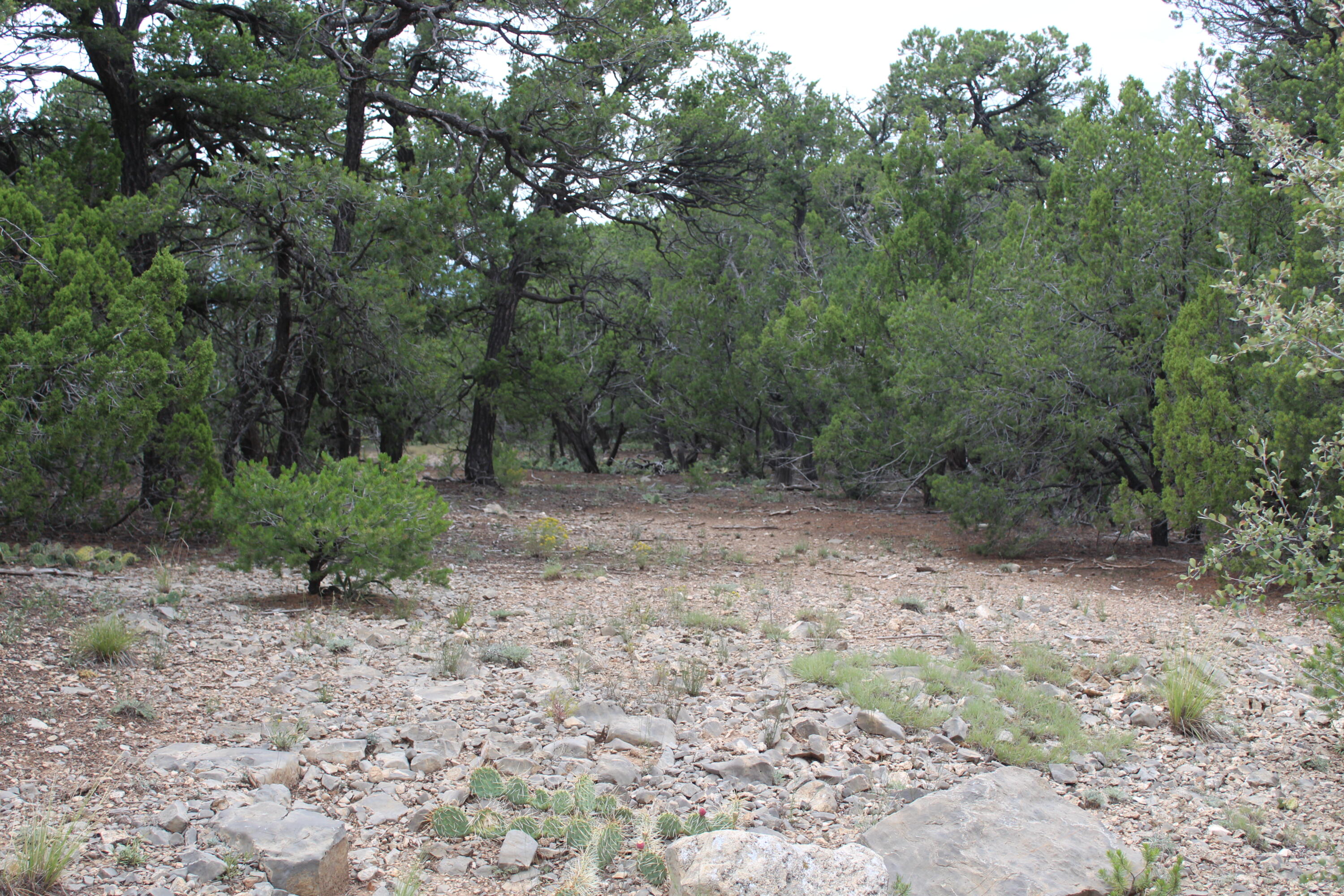 Photo 9 — 5 MANZANO Loop