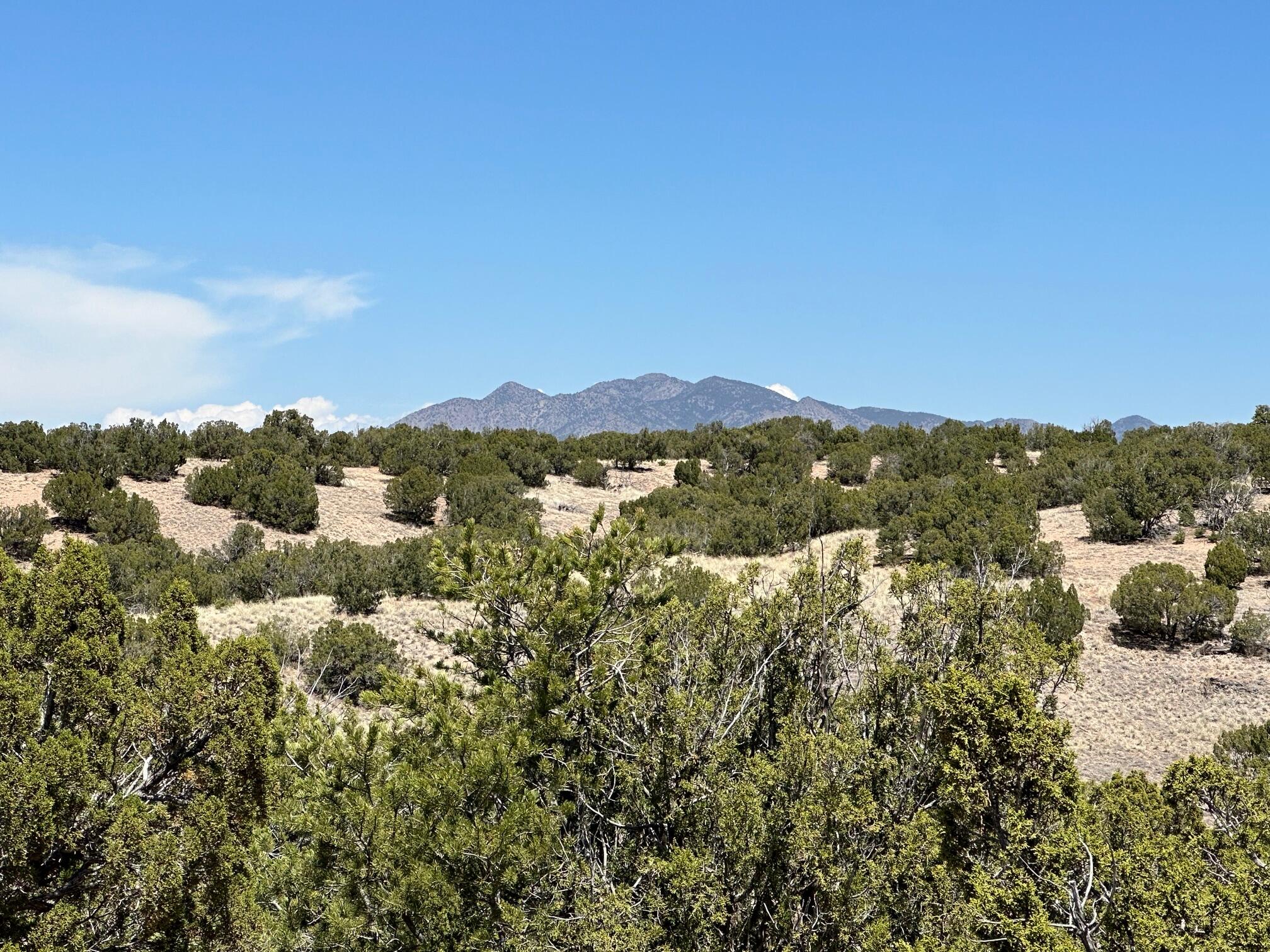62 Turquoise Drive