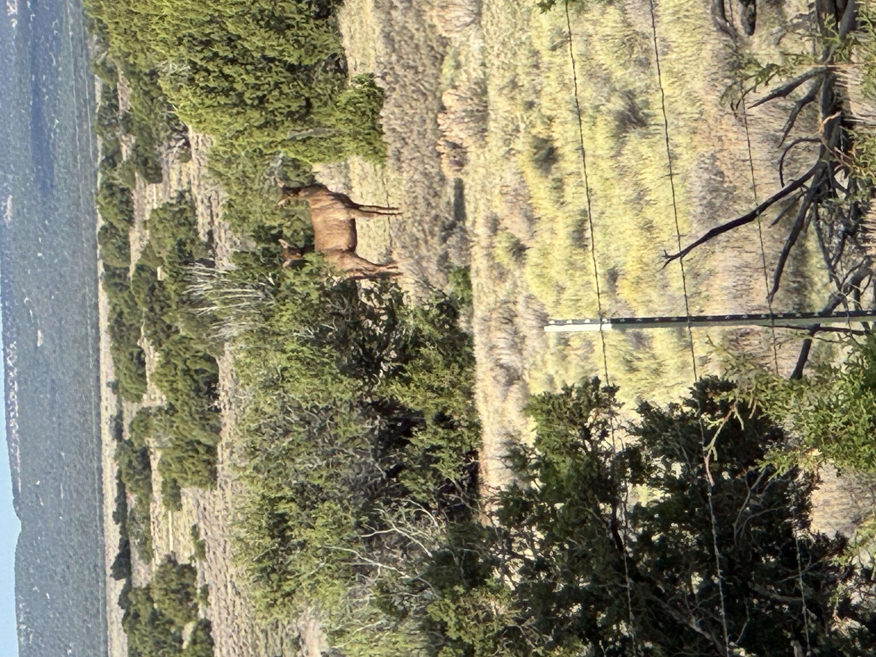 Photo 2 —  Lot 130 Jolly Time Lane