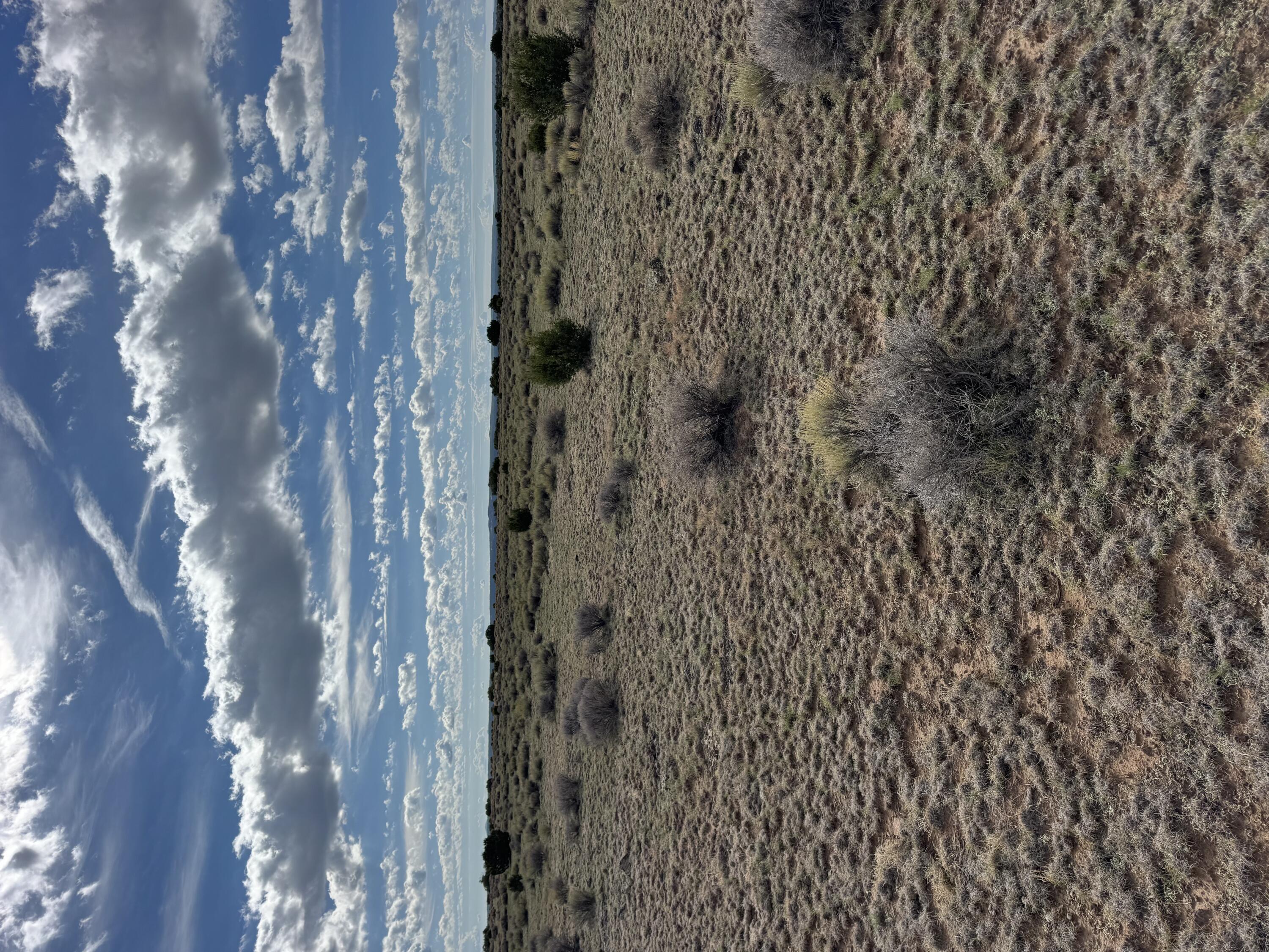 Photo 3 —  Lot 130 Jolly Time Lane