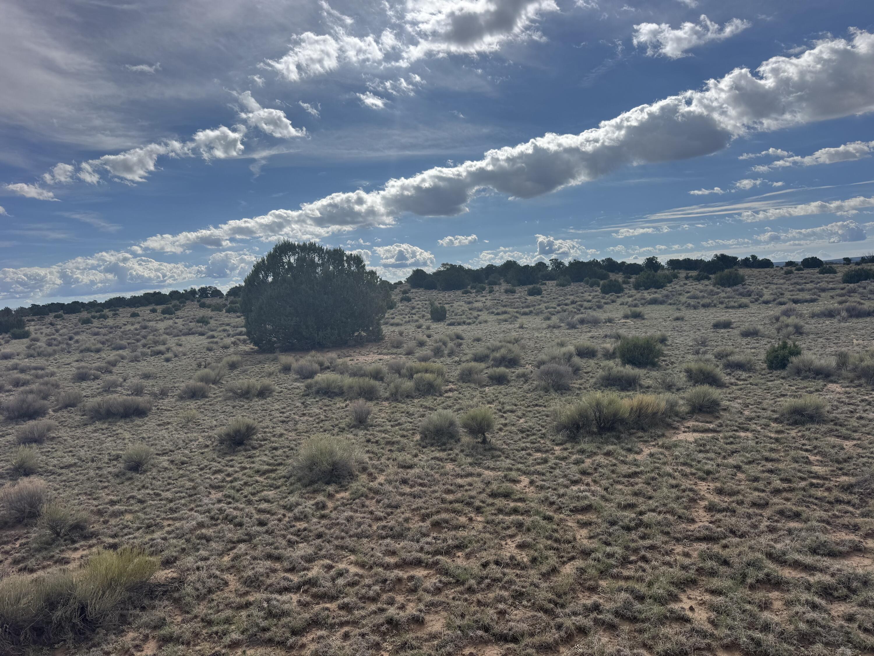 Photo 5 —  Lot 130 Jolly Time Lane