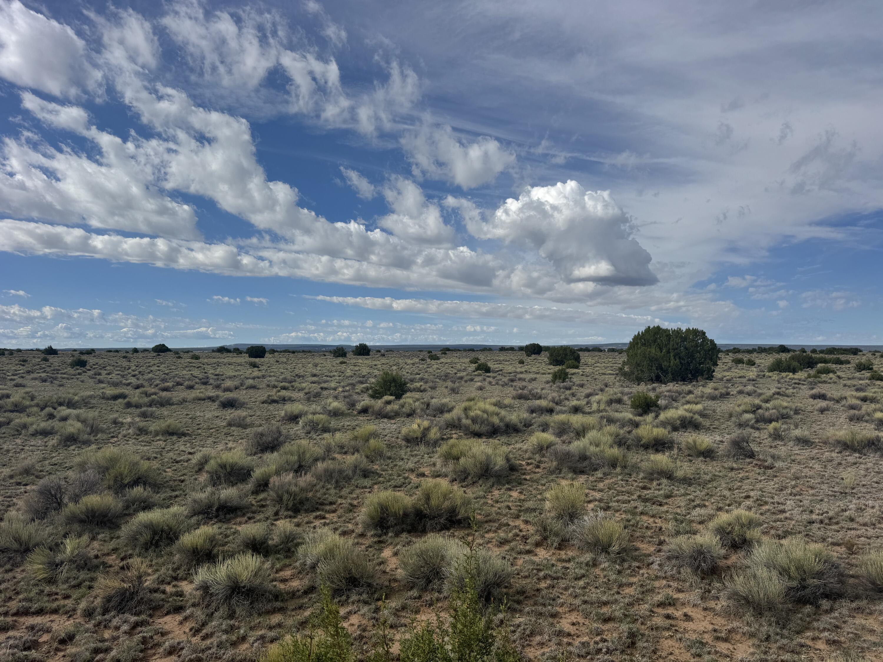 Photo 6 —  Lot 130 Jolly Time Lane