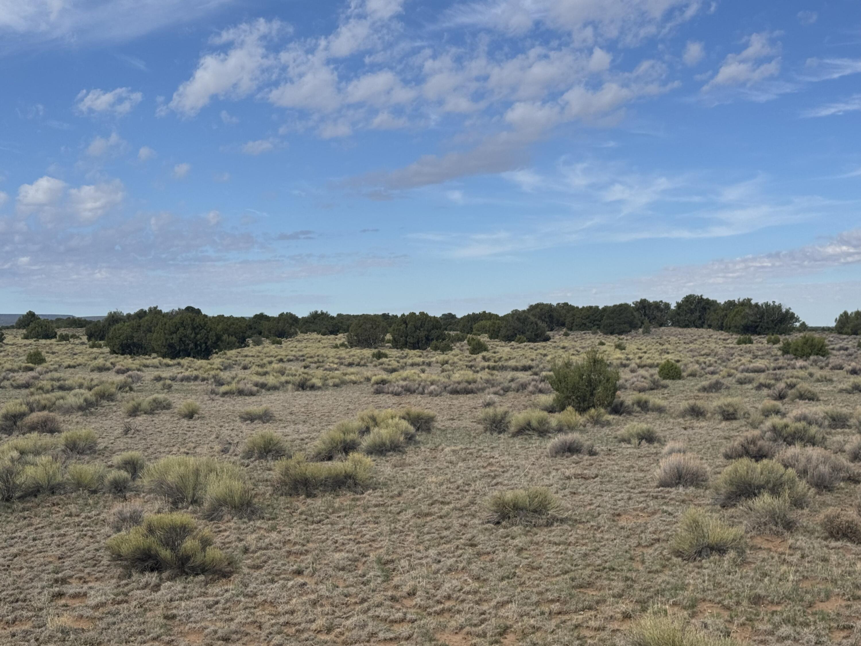 Photo 7 —  Lot 130 Jolly Time Lane