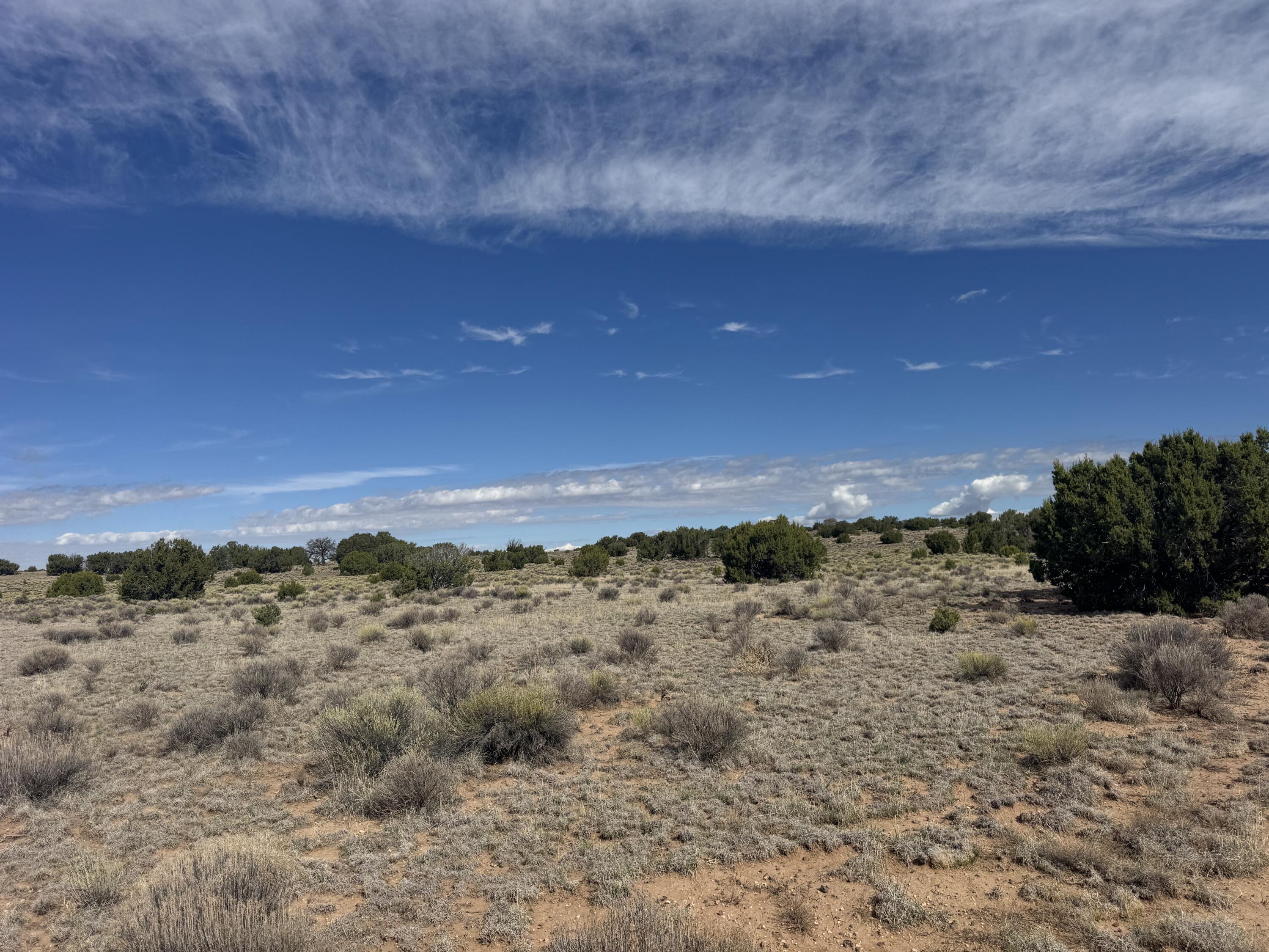 Photo 8 —  Lot 130 Jolly Time Lane