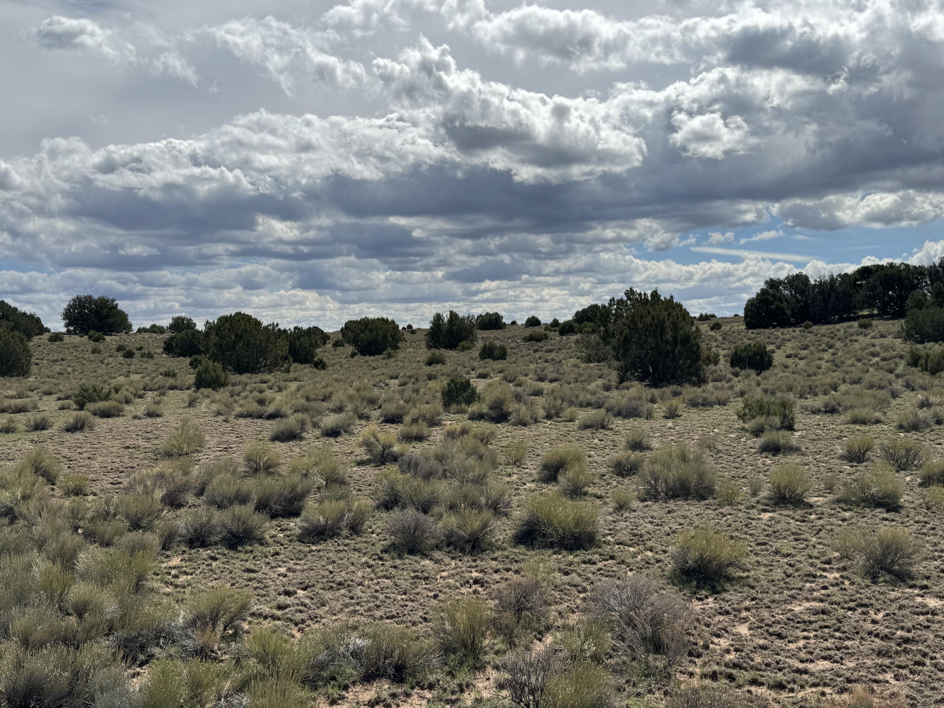 Photo 9 —  Lot 130 Jolly Time Lane