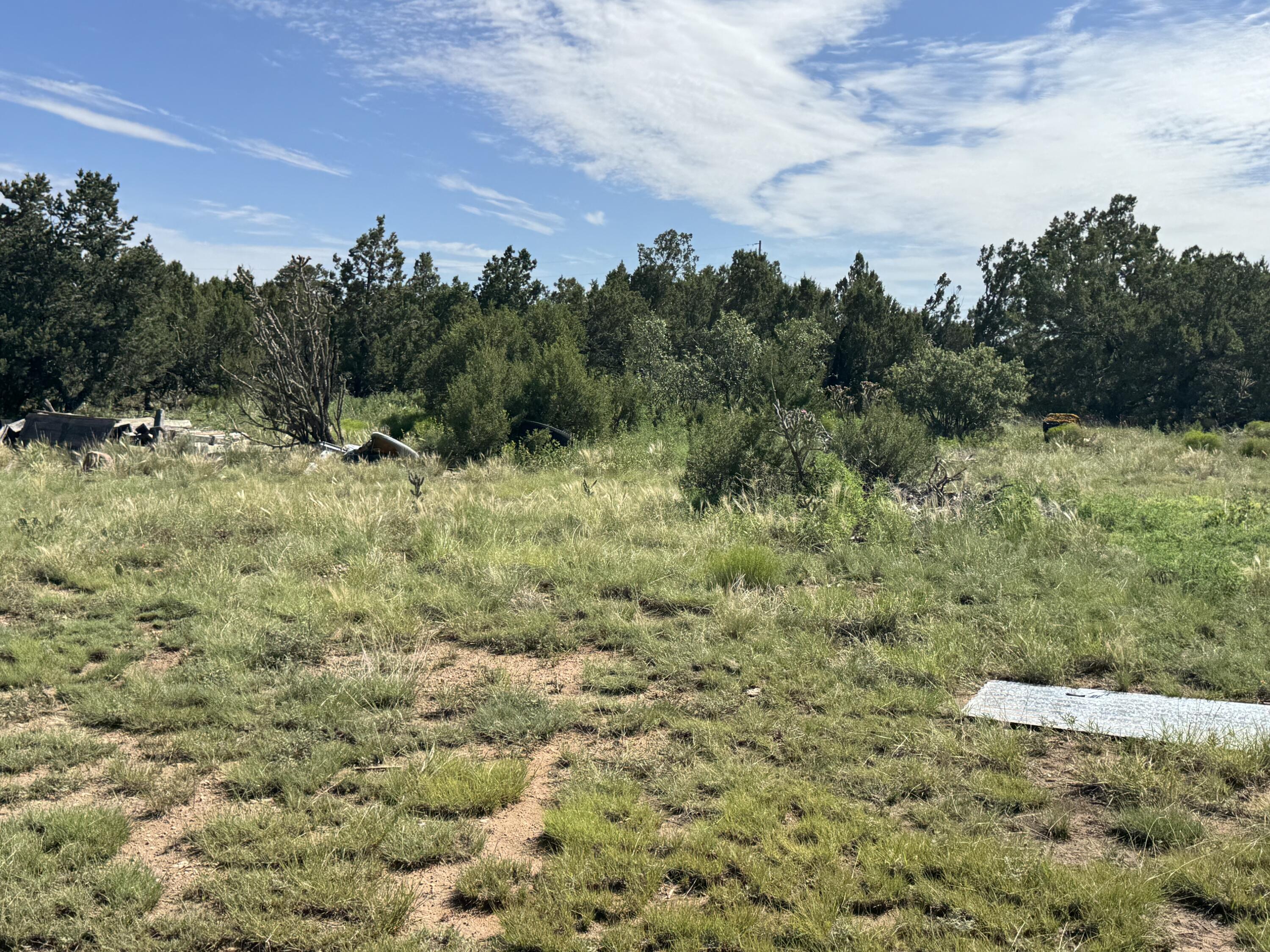 Photo 18 — 296 POHL Road